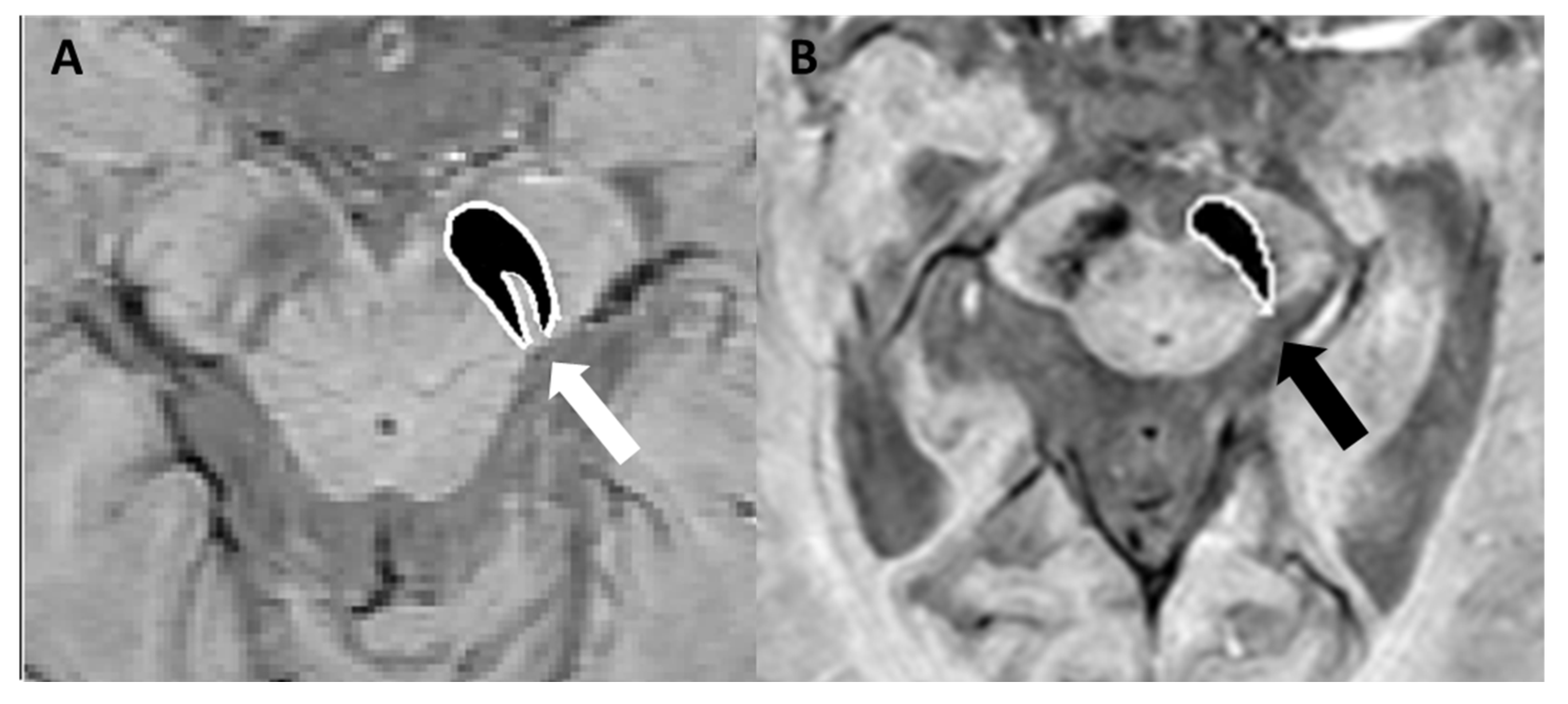 Bioengineering 12 00473 g006