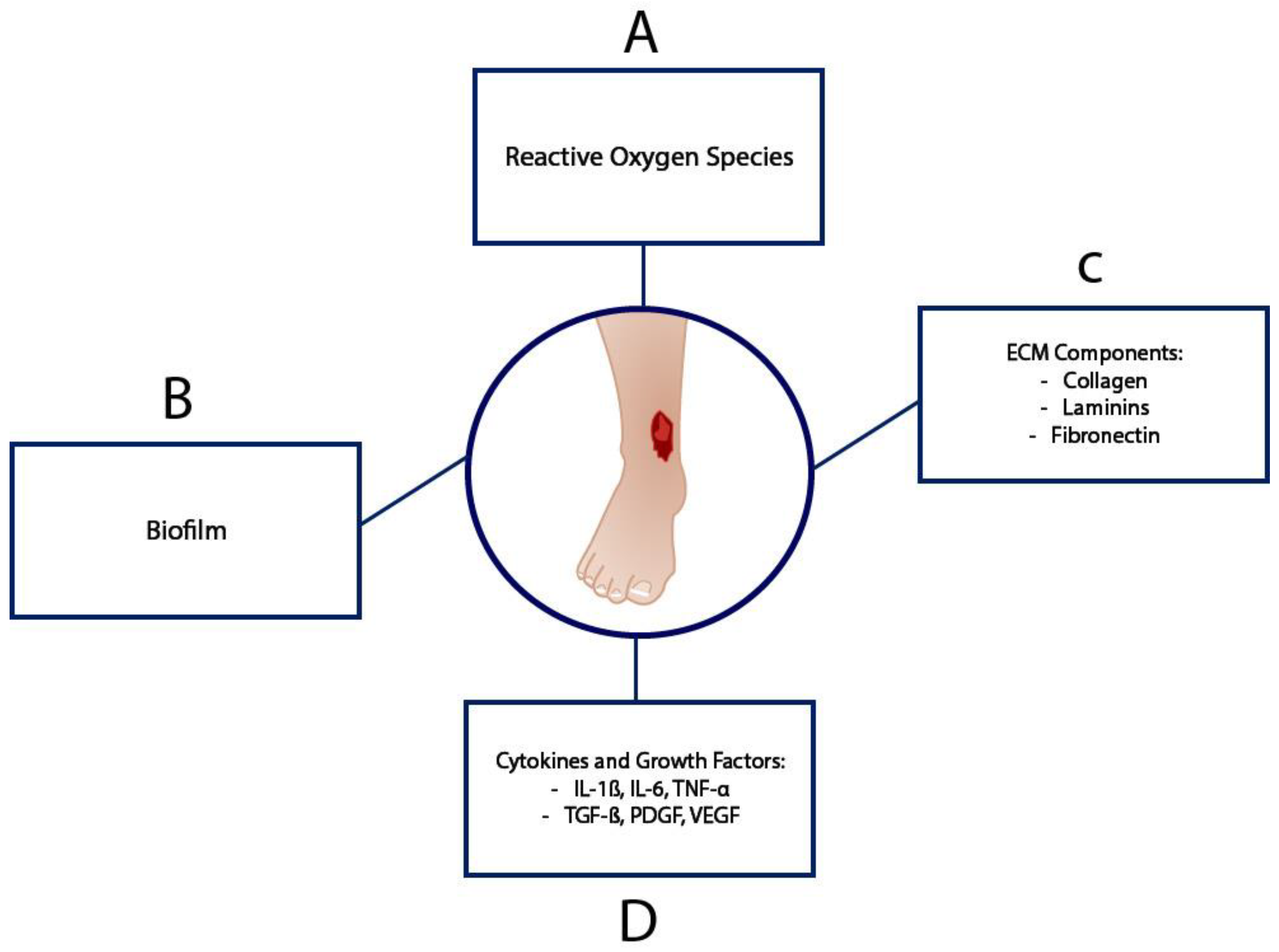 Bioengineering 12 00474 g002