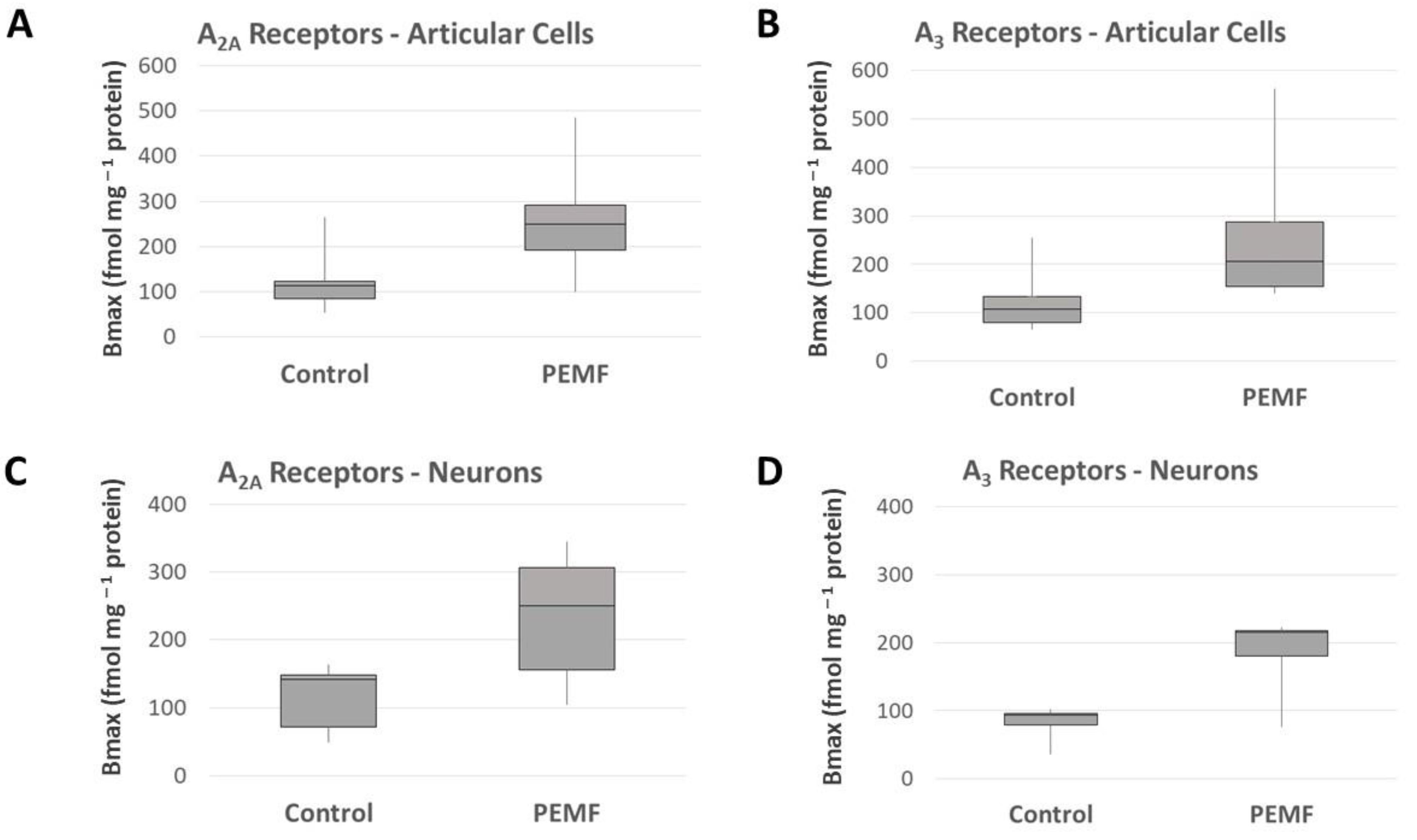Bioengineering 12 00474 g003