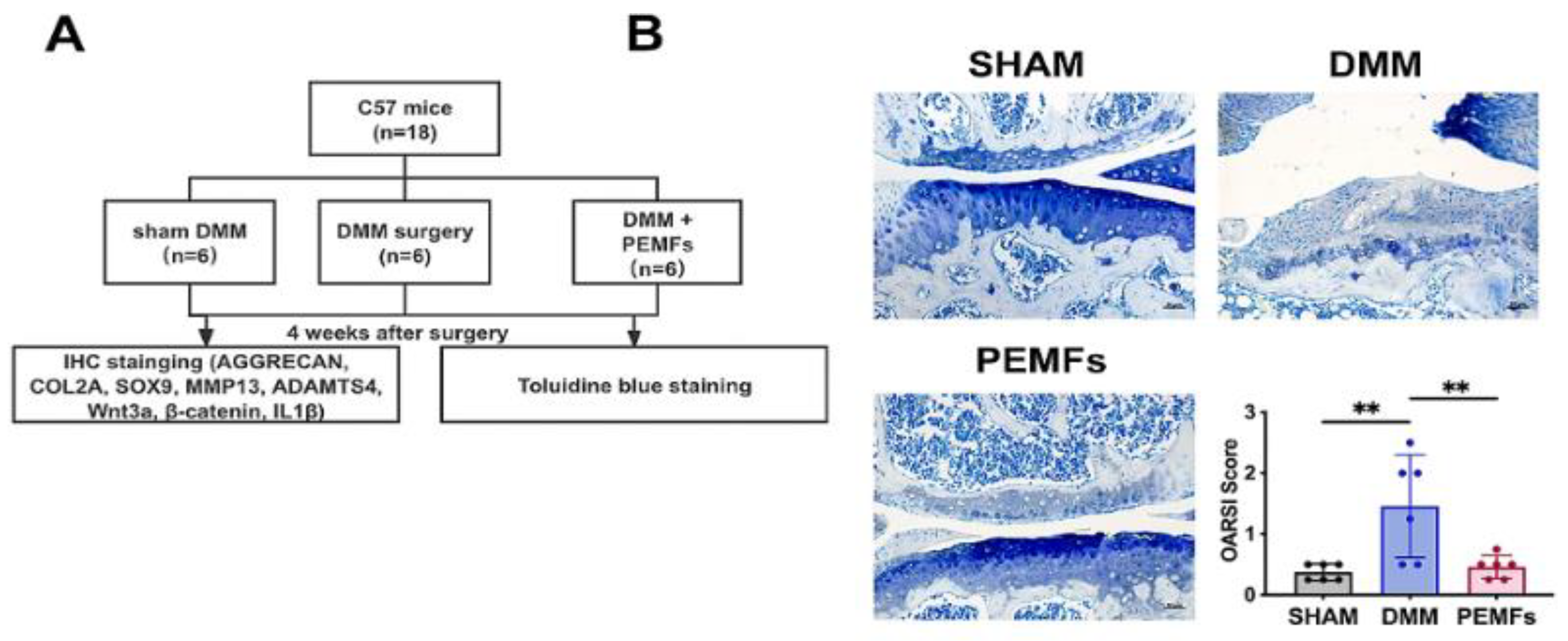 Bioengineering 12 00474 g004