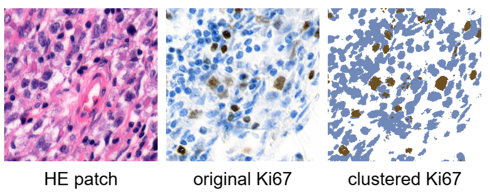 Bioengineering 12 00476 g001