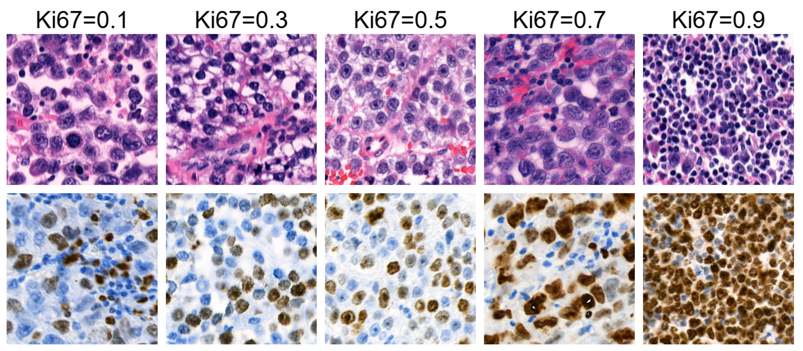 Bioengineering 12 00476 g002