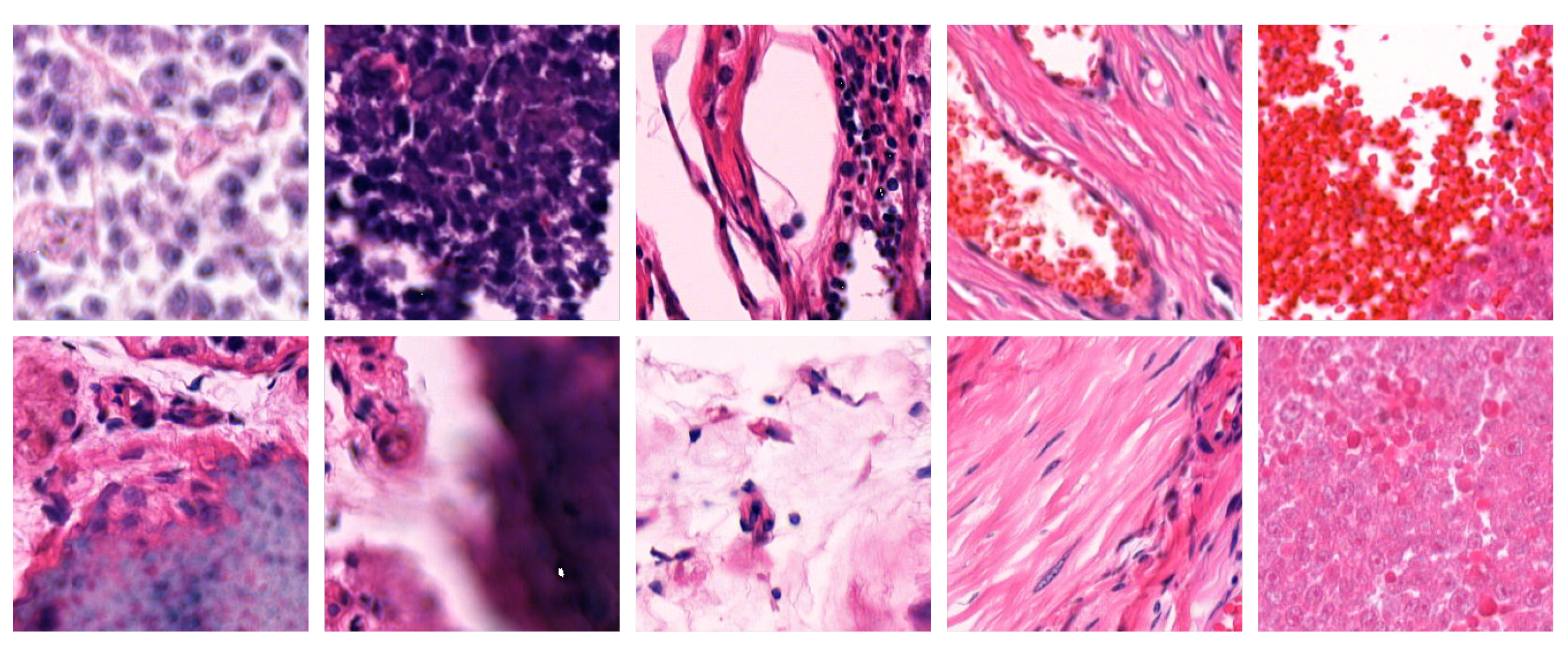Bioengineering 12 00476 g003