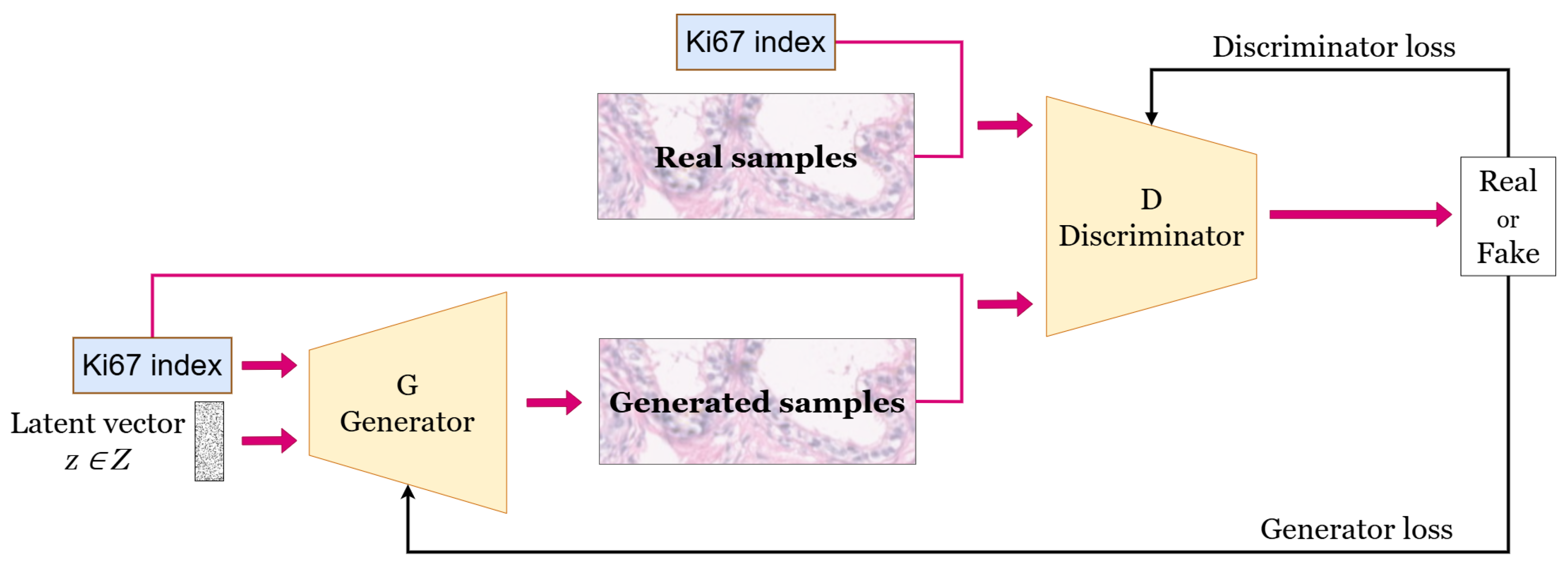 Bioengineering 12 00476 g004