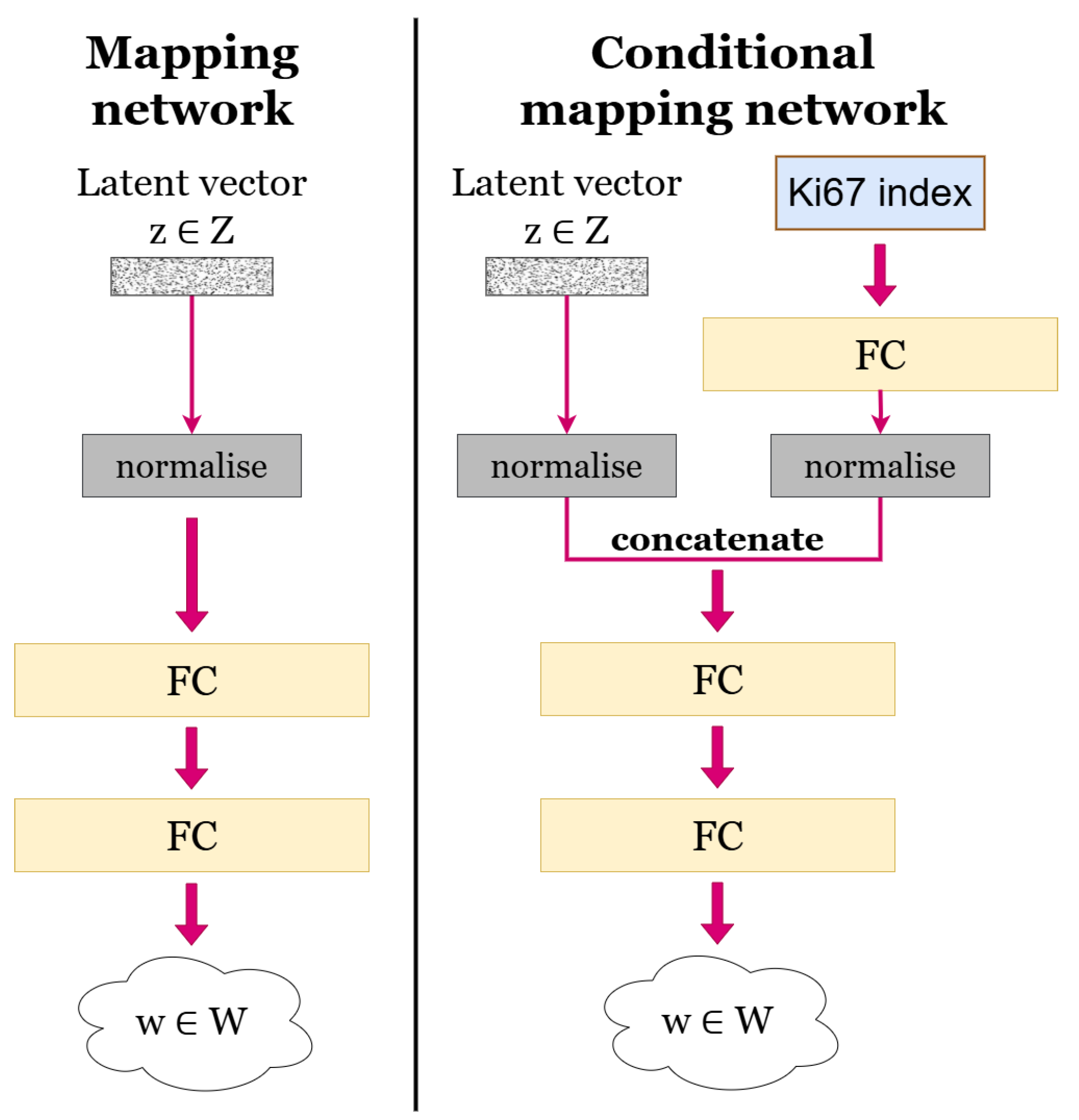 Bioengineering 12 00476 g005