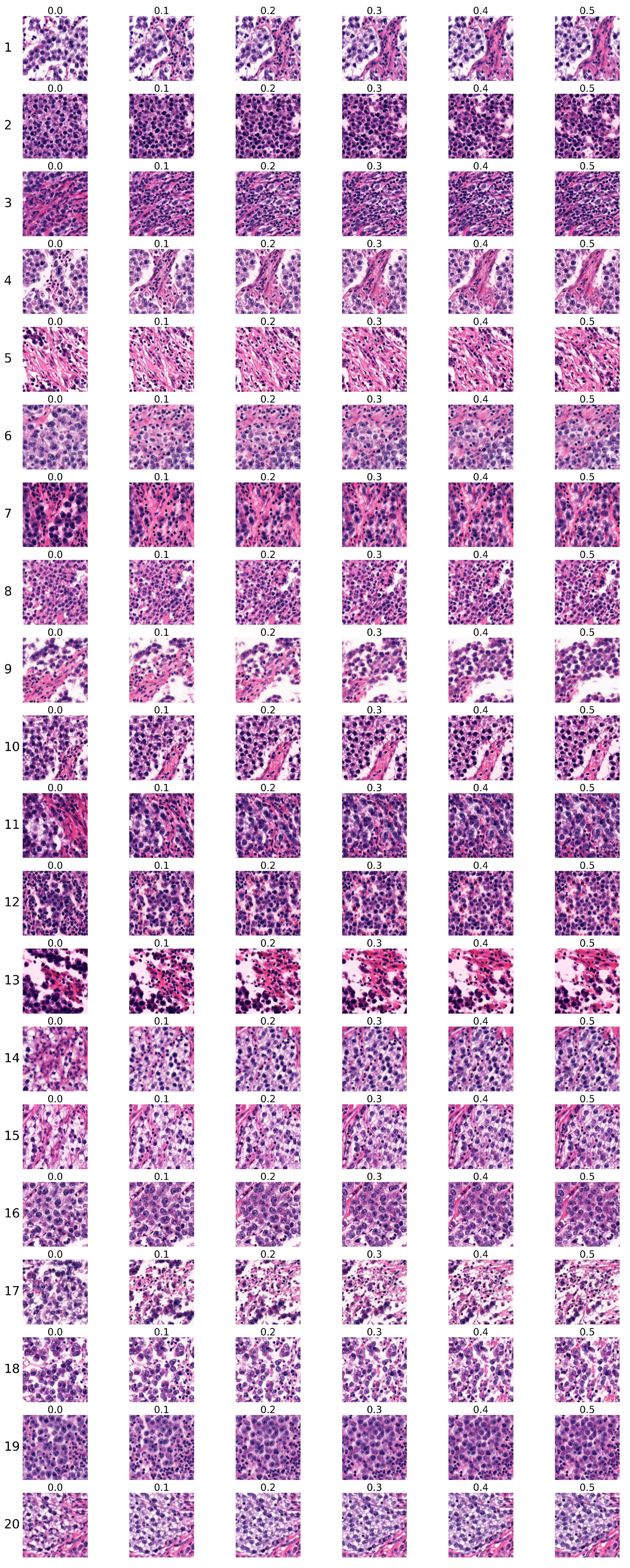 Bioengineering 12 00476 g009