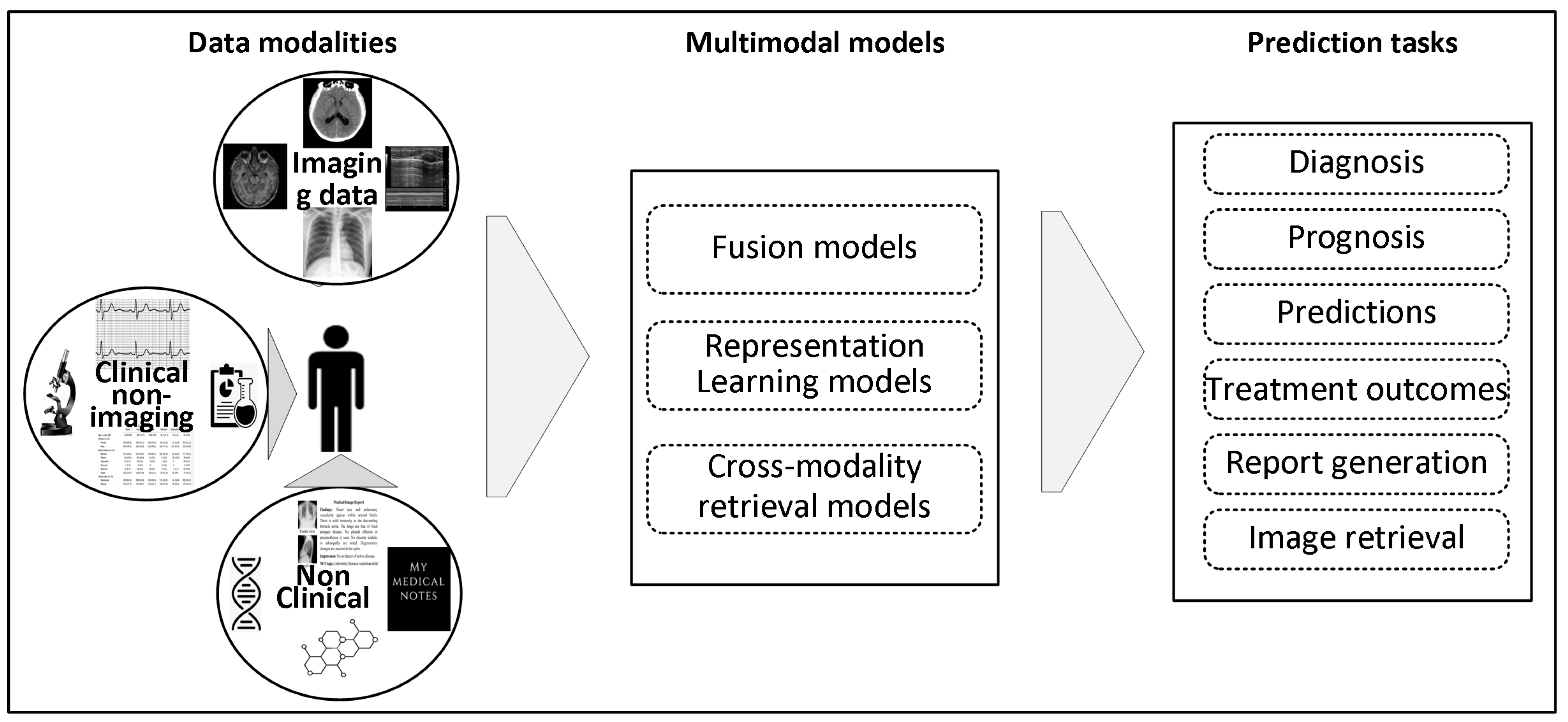 Bioengineering 12 00477 g001