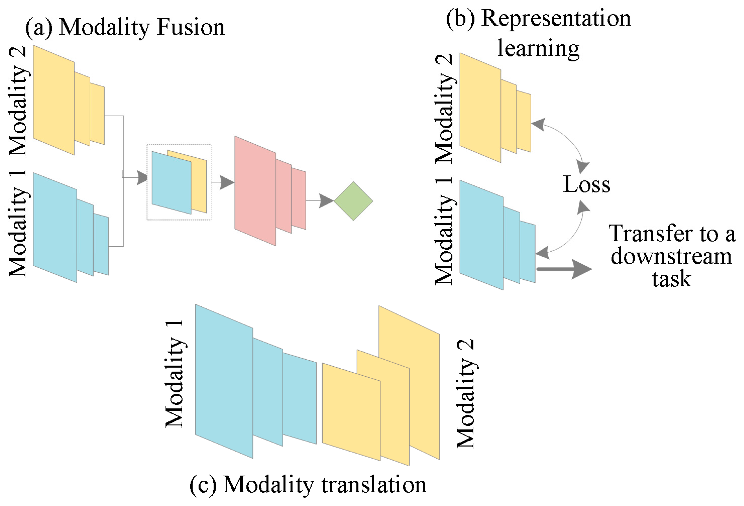 Bioengineering 12 00477 g003