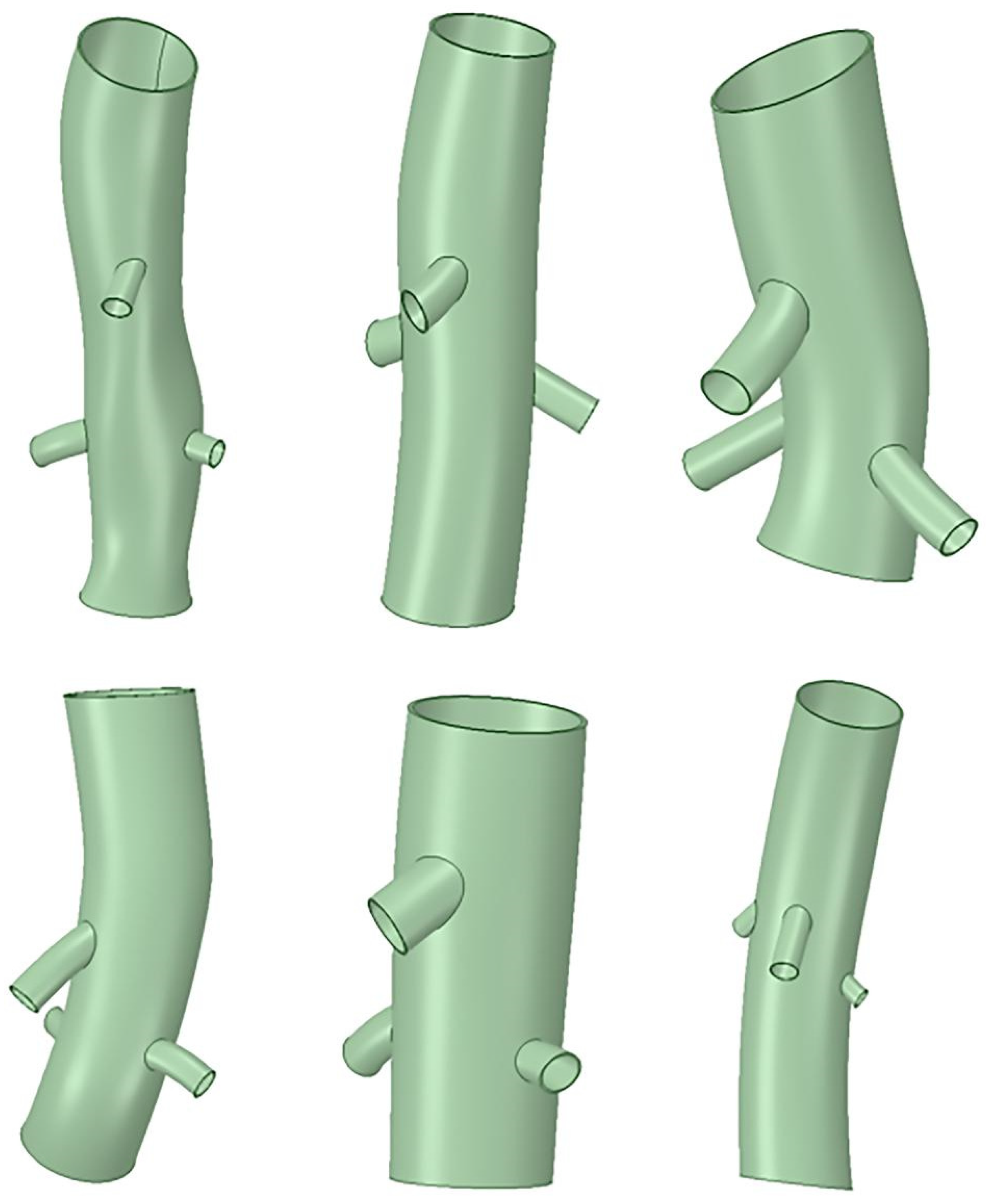 Bioengineering 12 00482 g002