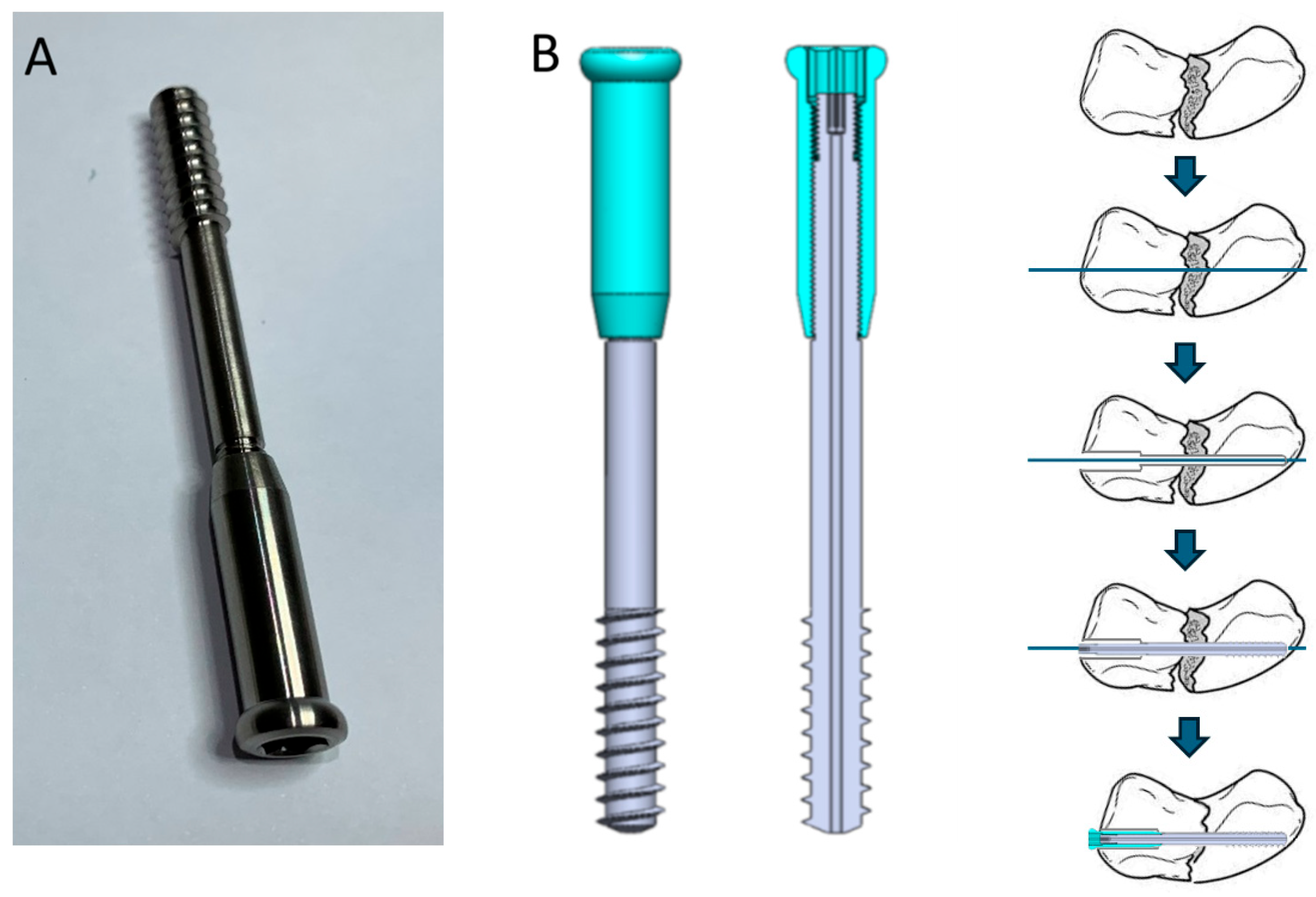 Bioengineering 12 00483 g001