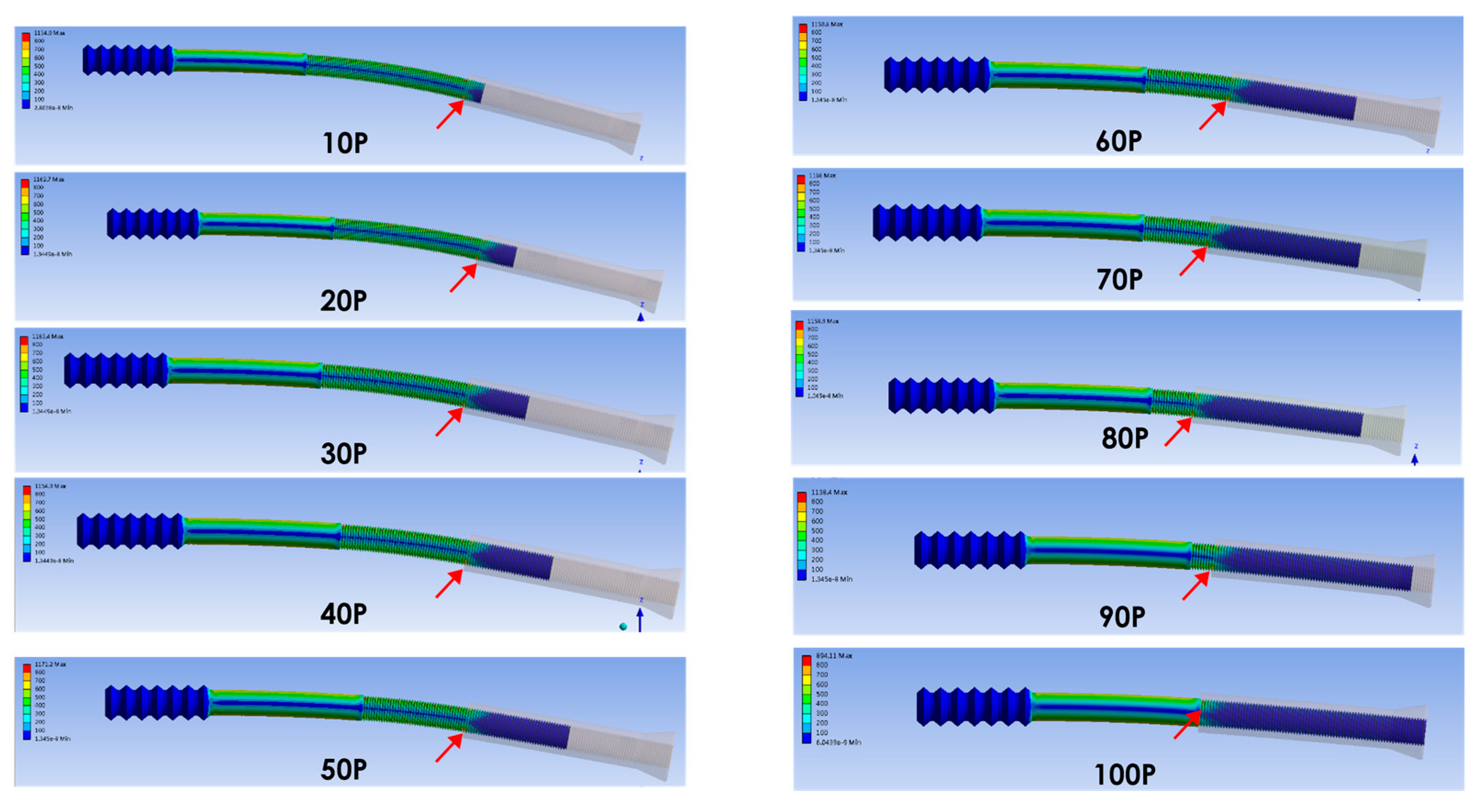 Bioengineering 12 00483 g006