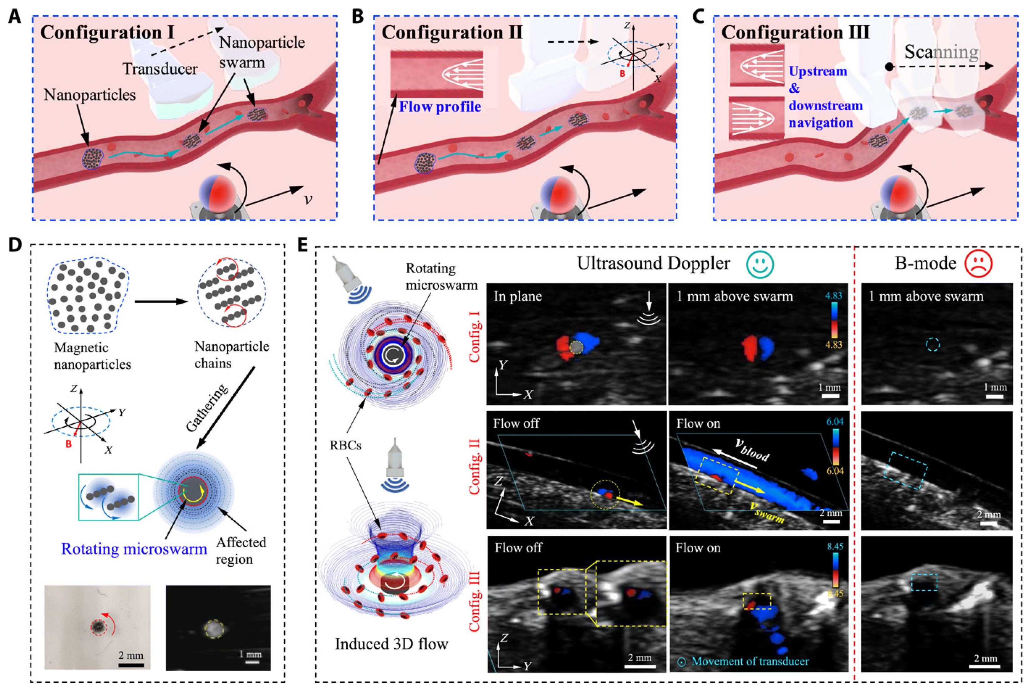 Bioengineering 12 00488 g001