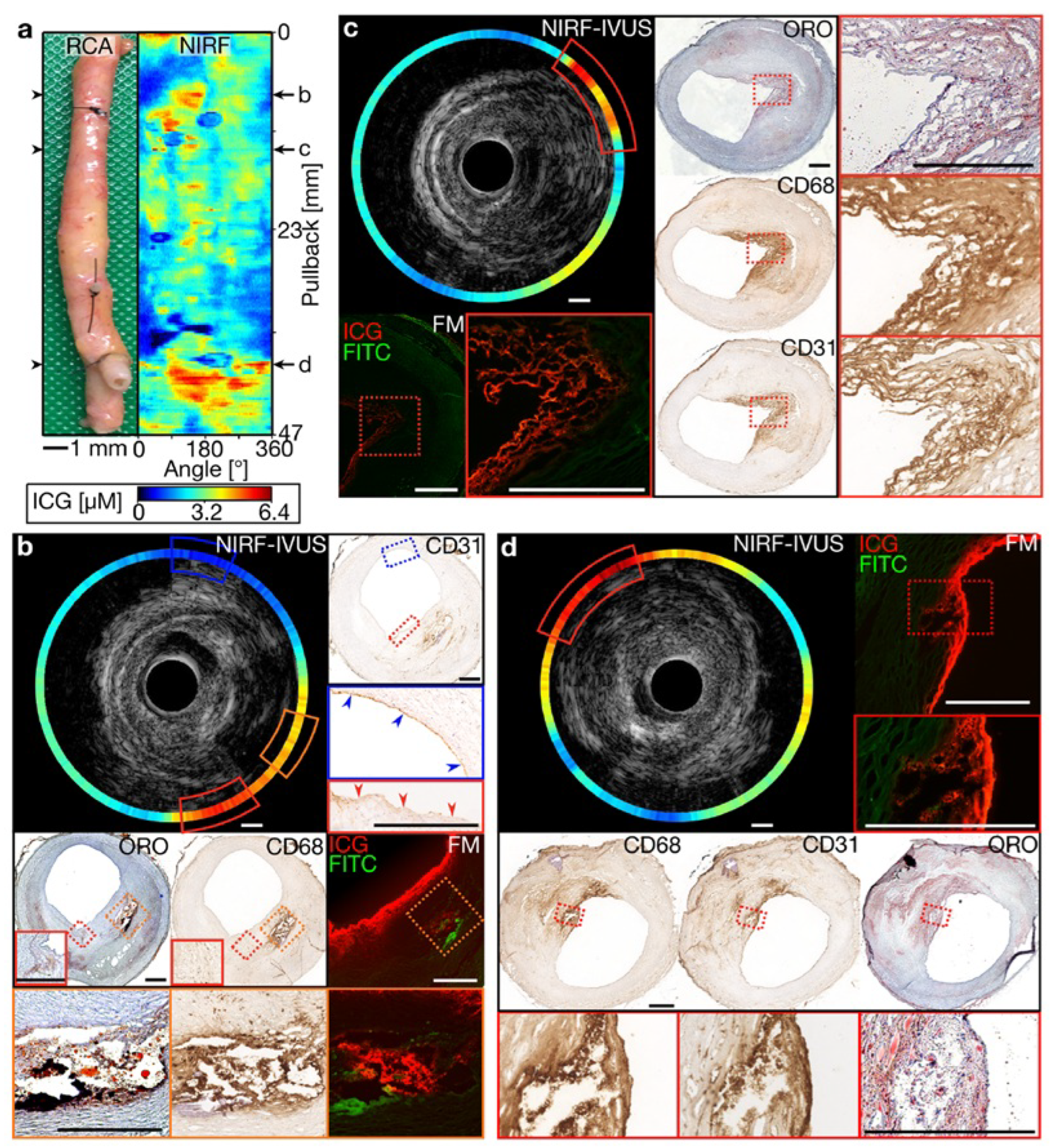 Bioengineering 12 00488 g003
