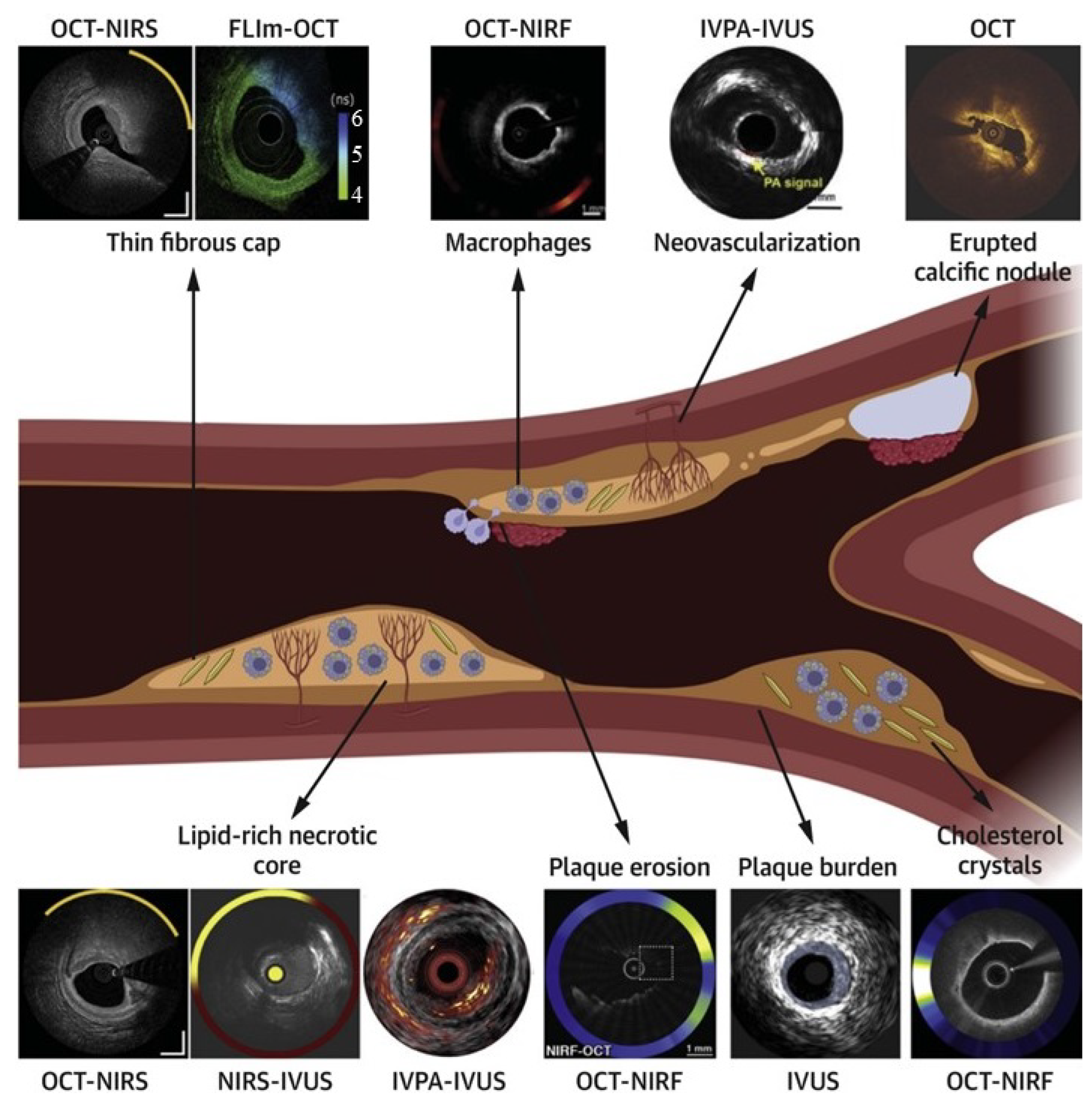 Bioengineering 12 00488 g004