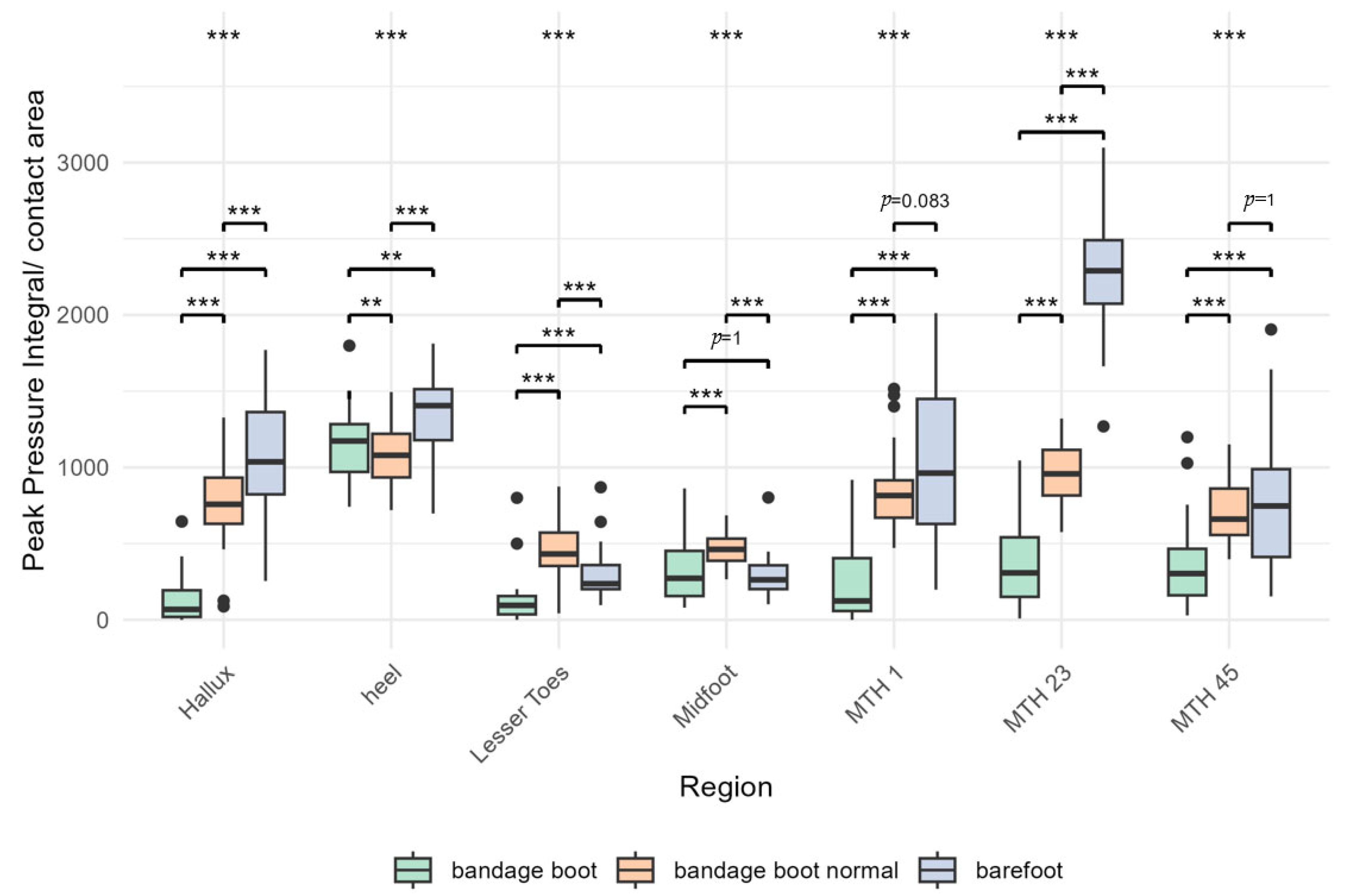 Bioengineering 12 00489 g004