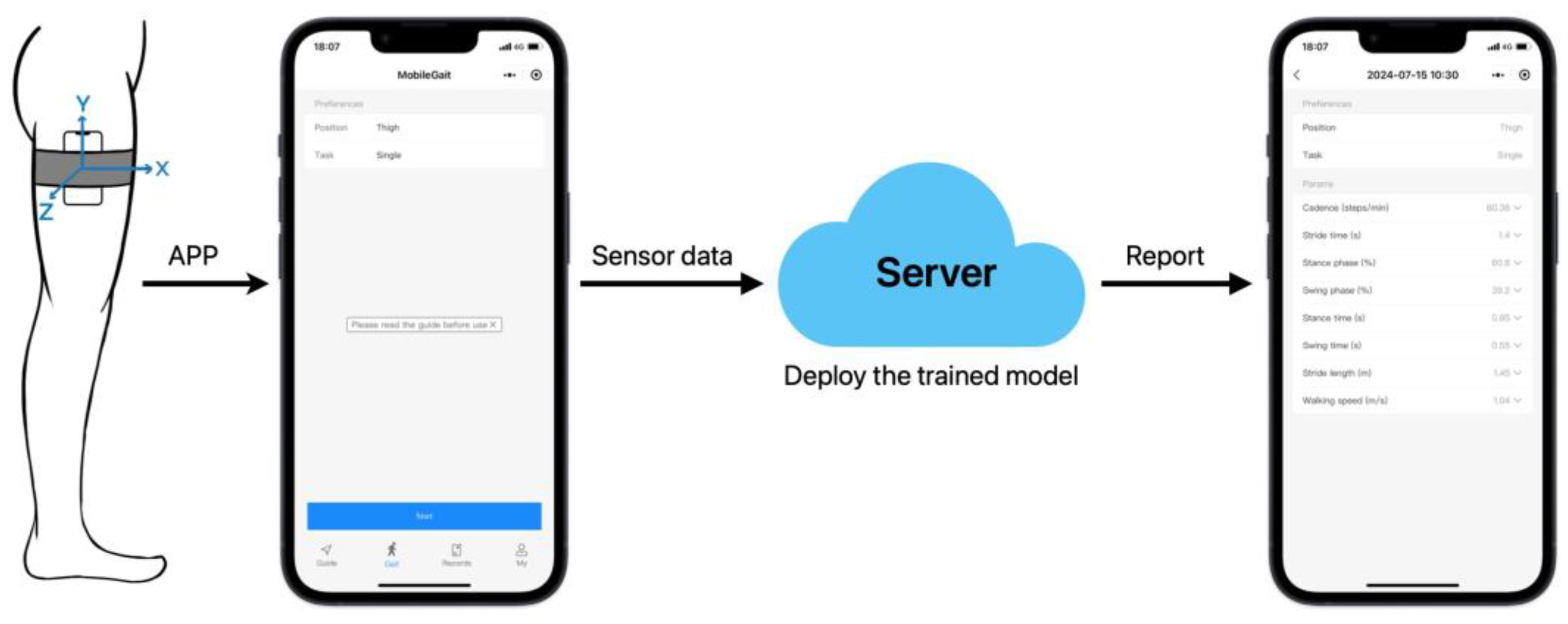 Bioengineering 12 00491 g001