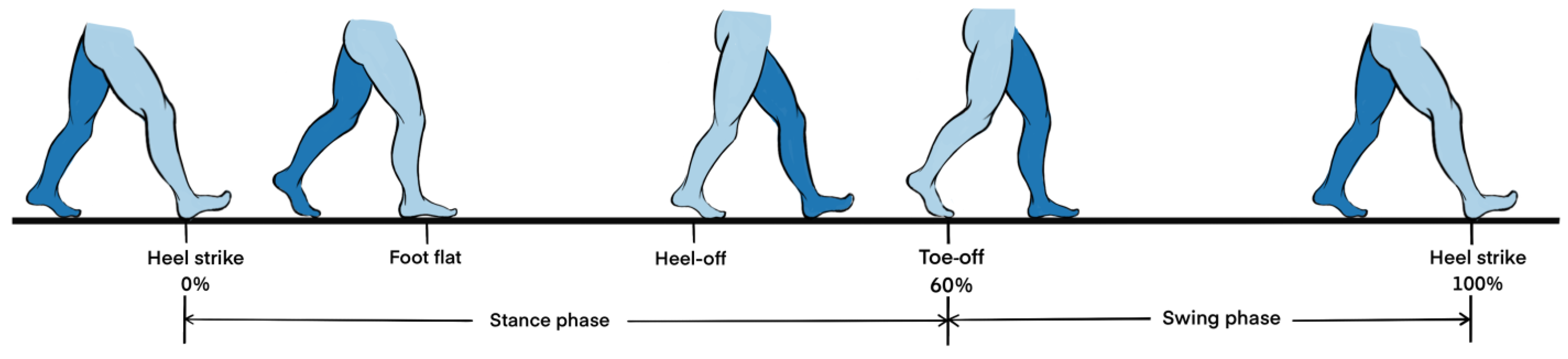 Bioengineering 12 00491 g005