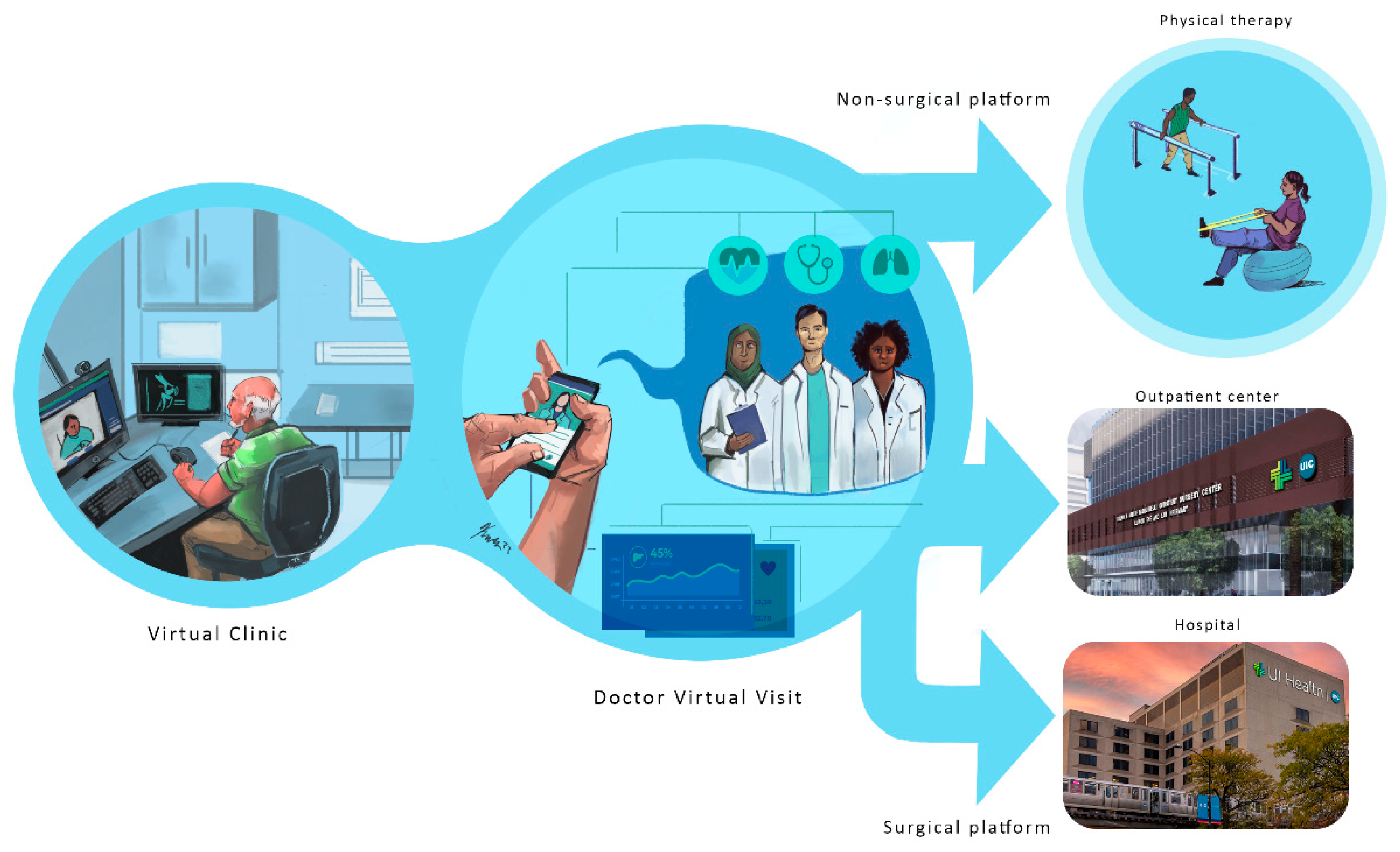 Bioengineering 12 00494 g001