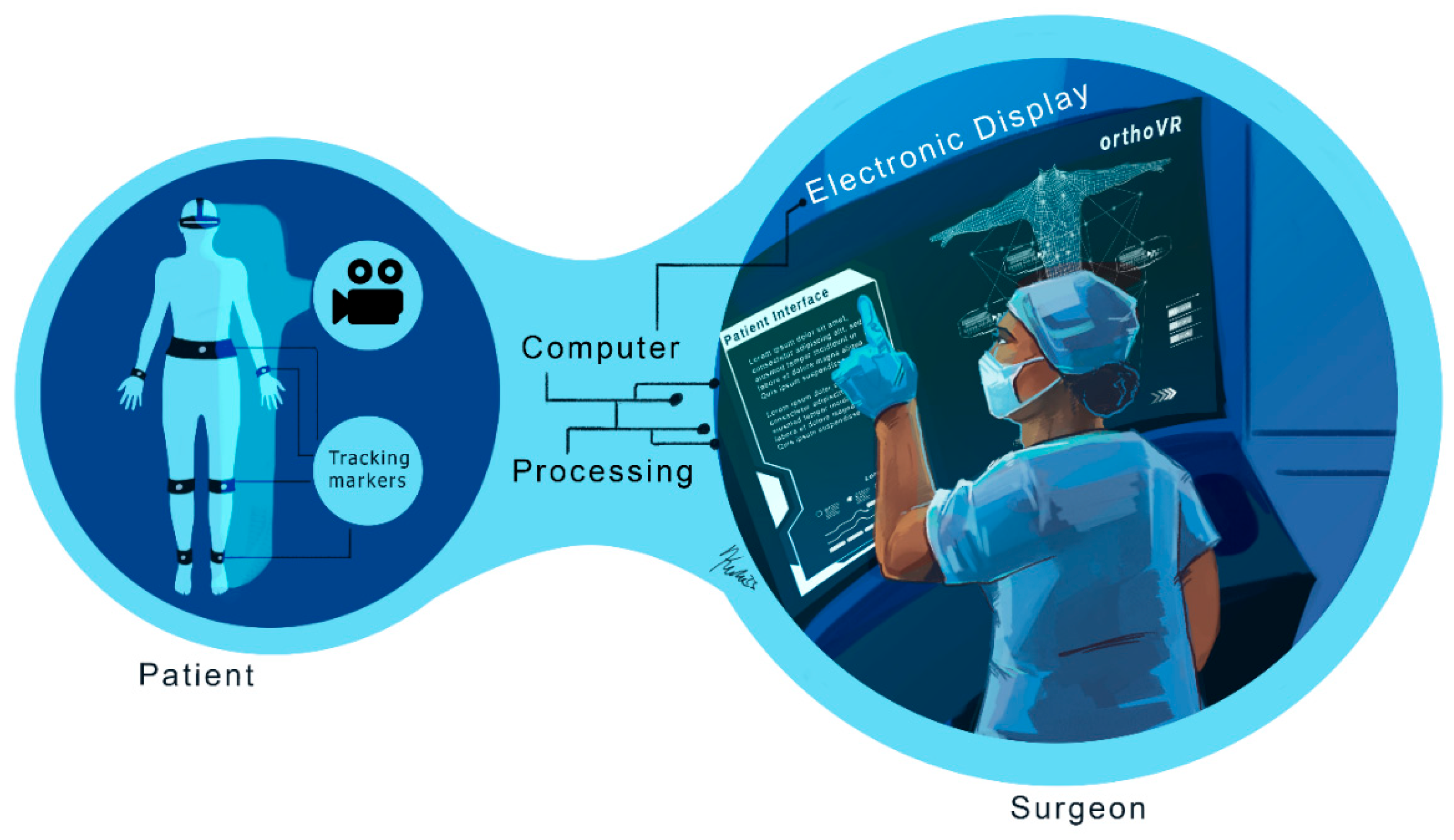 Bioengineering 12 00494 g003