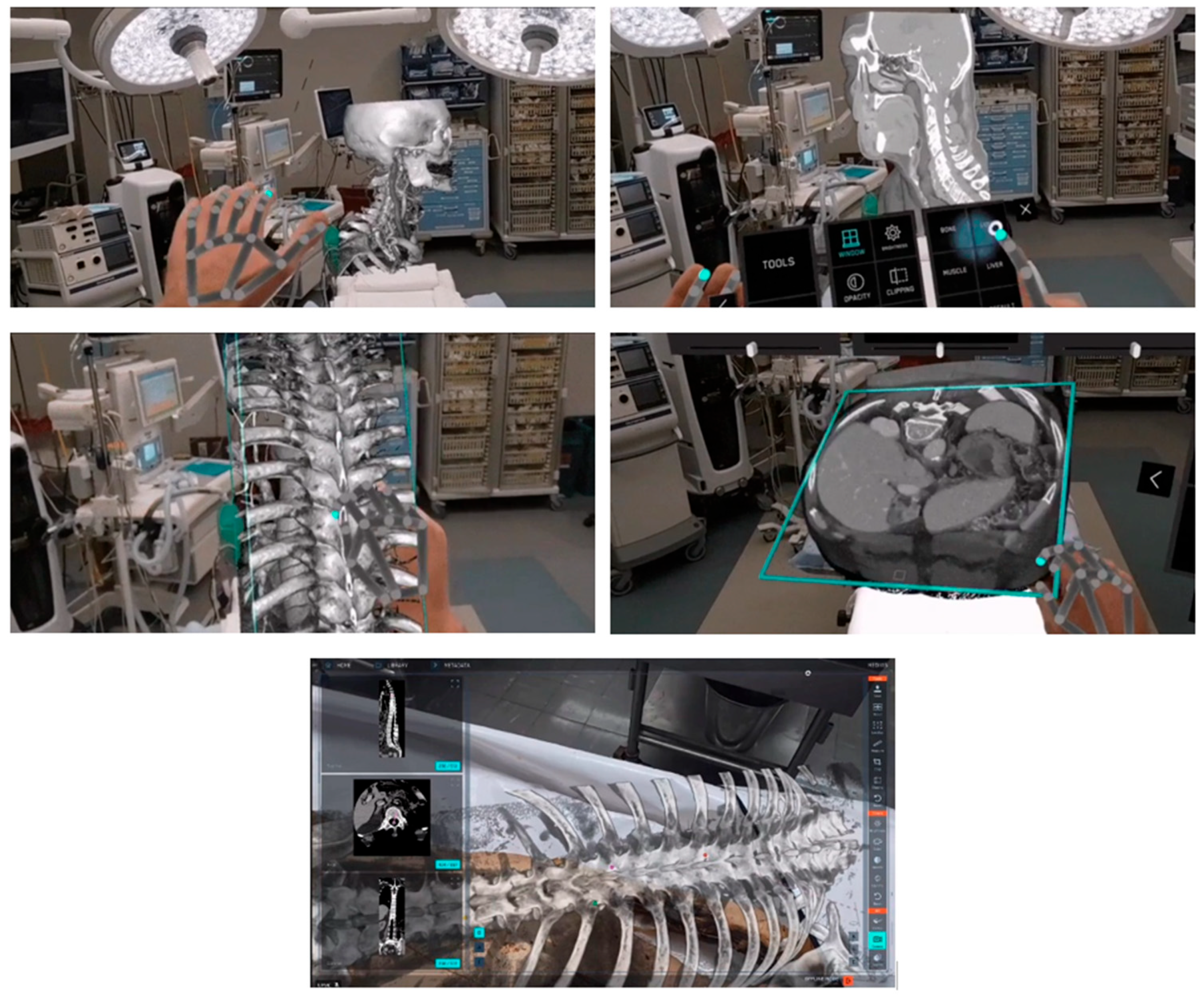 Bioengineering 12 00494 g004