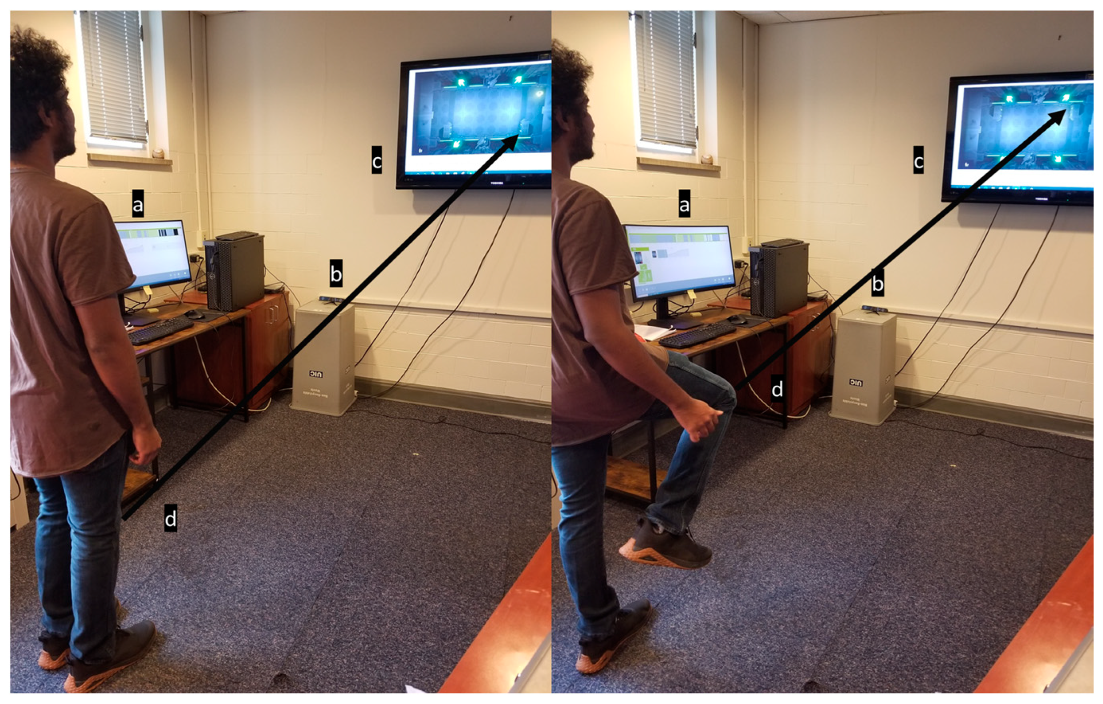 Bioengineering 12 00494 g007