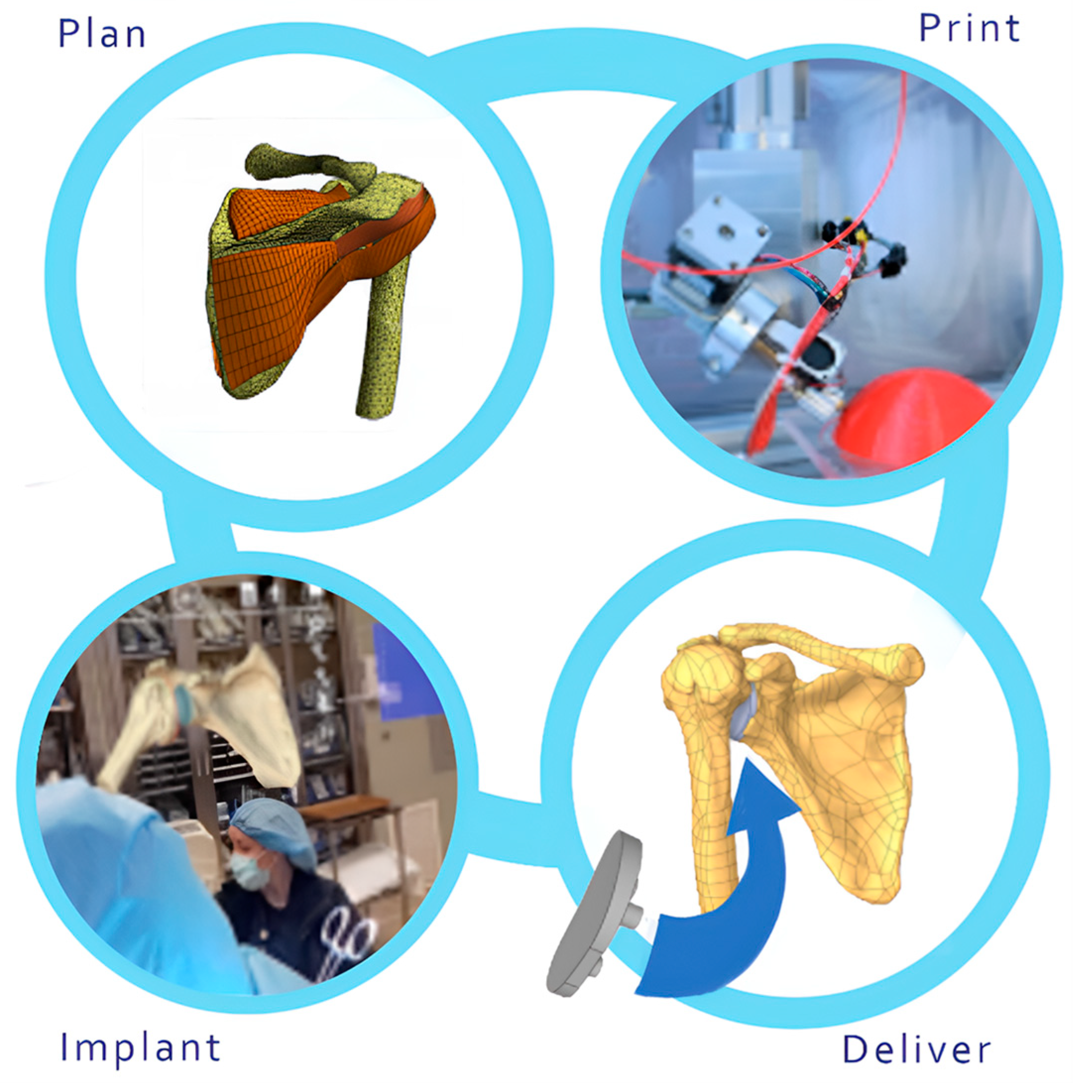Bioengineering 12 00494 g010
