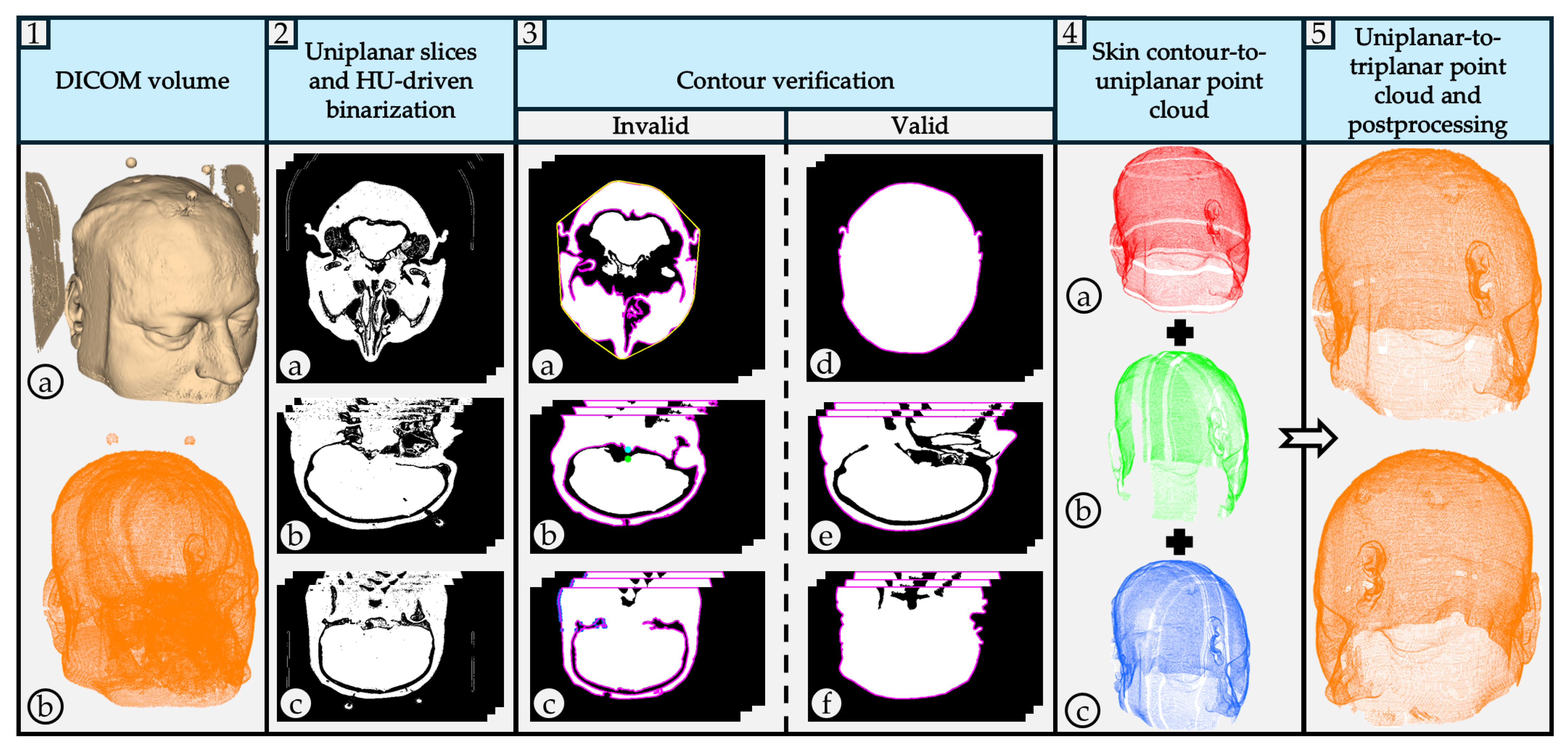 Bioengineering 12 00498 g001