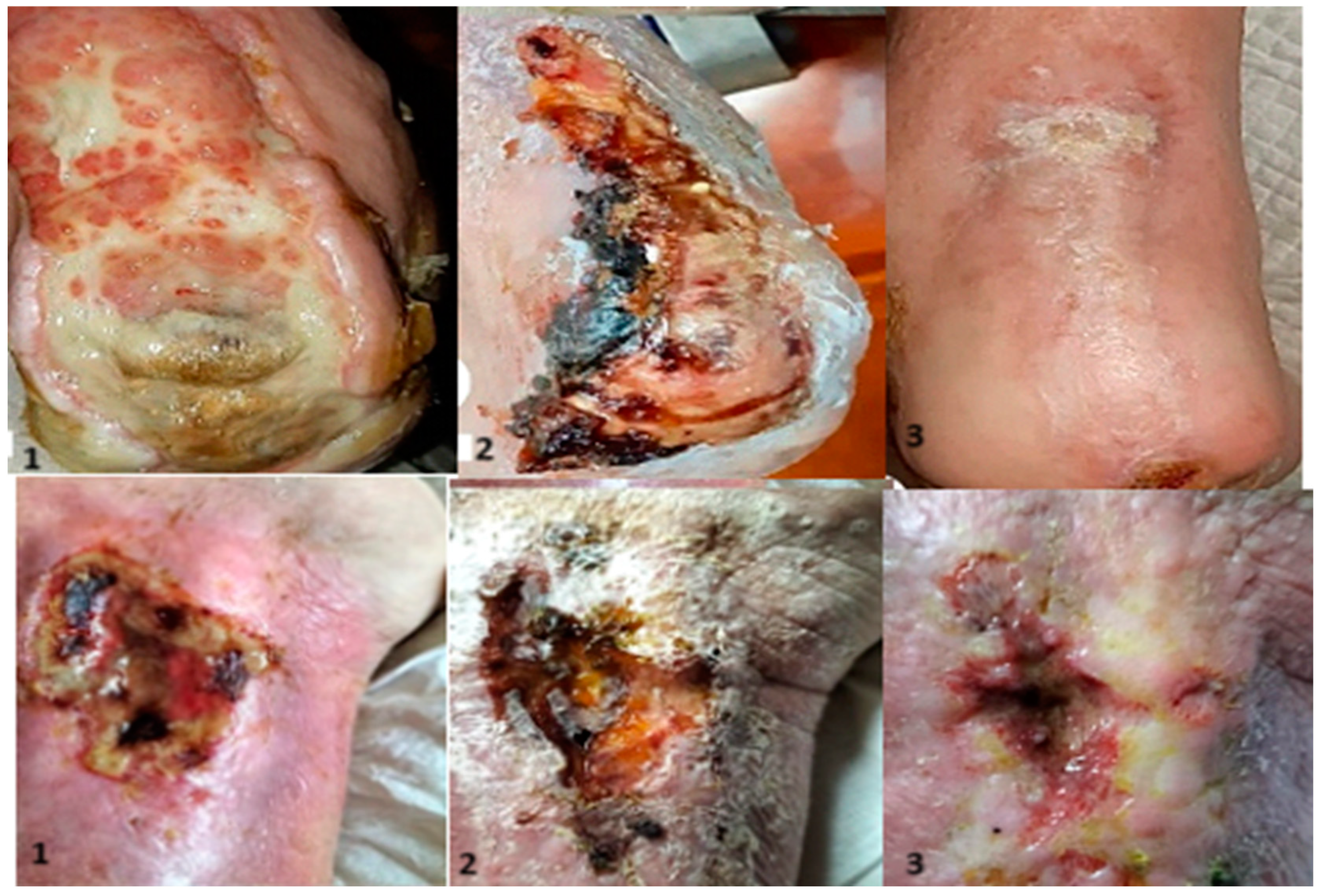 Bioengineering 12 00500 g005