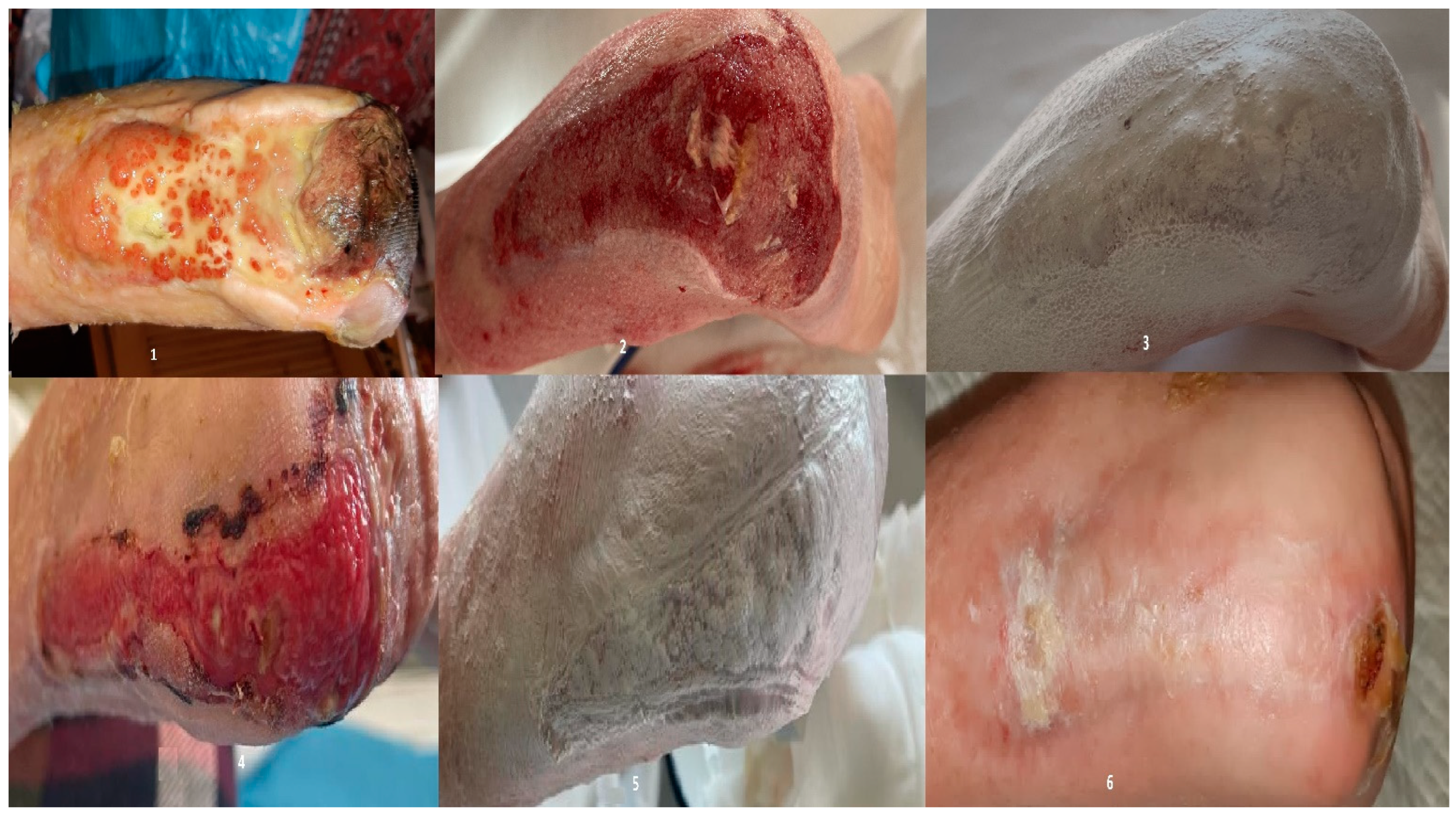 Bioengineering 12 00500 g006