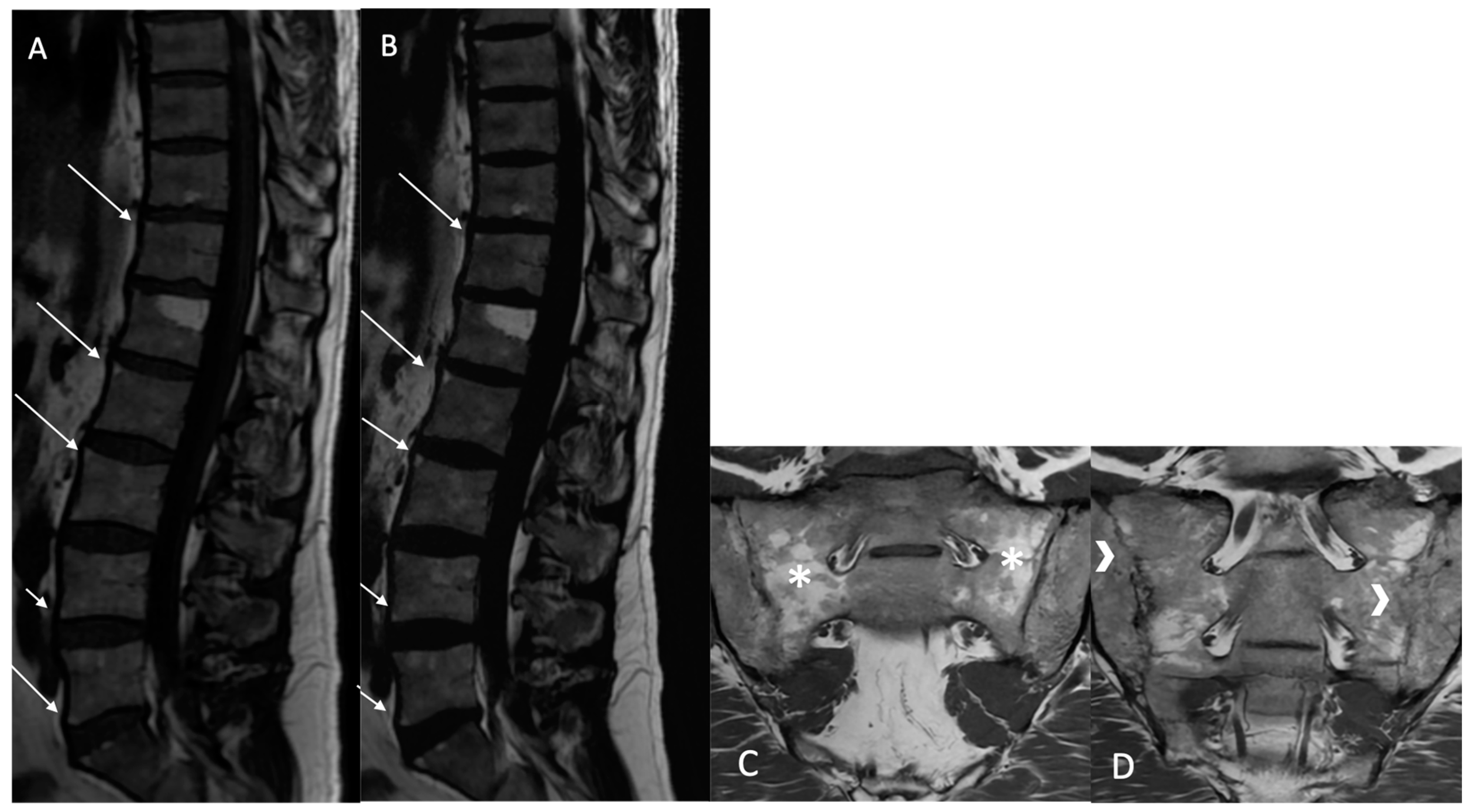 Bioengineering 12 00502 g002