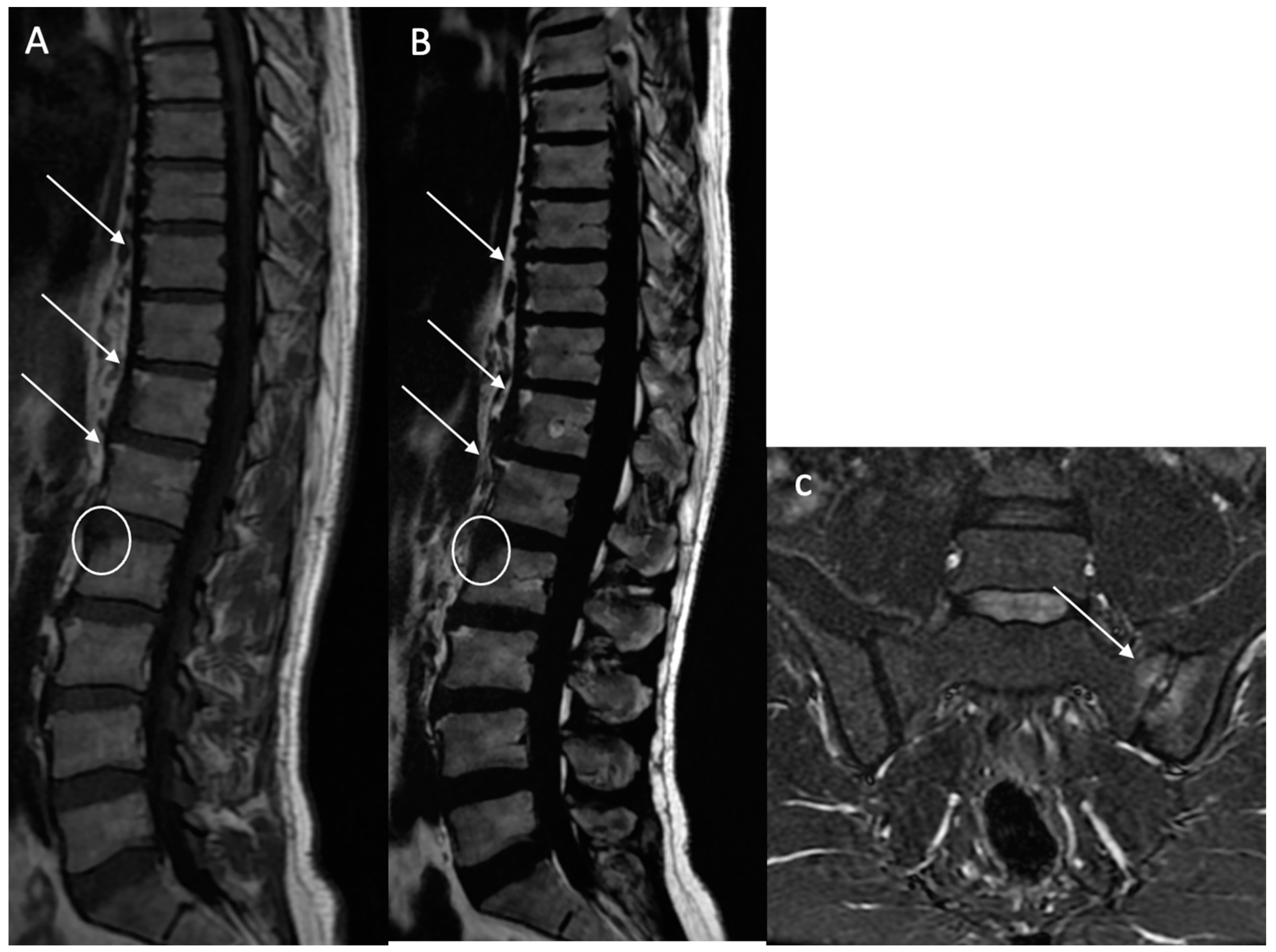 Bioengineering 12 00502 g004
