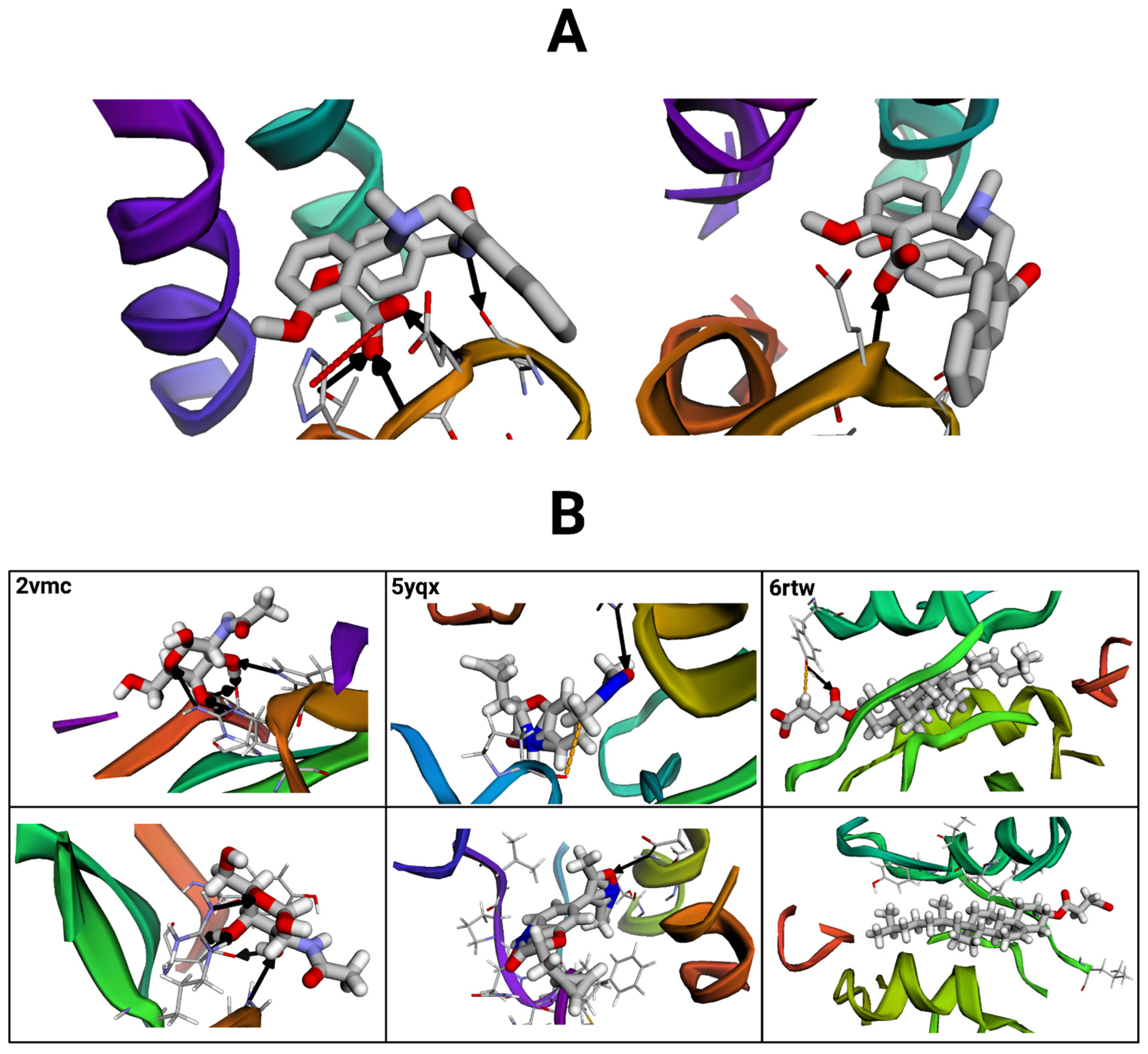 Bioengineering 12 00505 g011