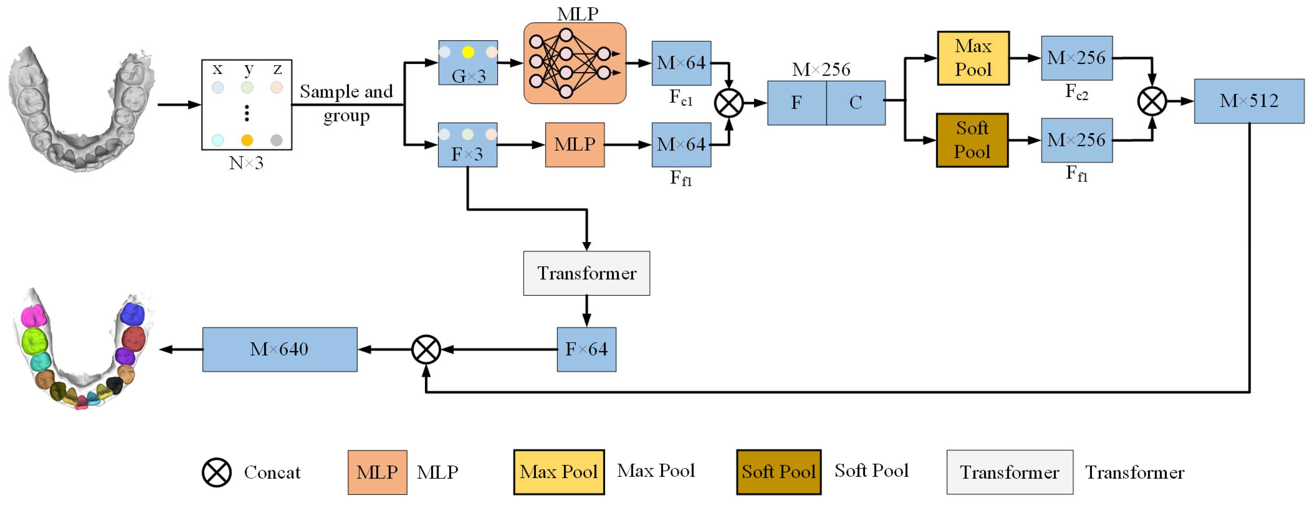 Bioengineering 12 00507 g001