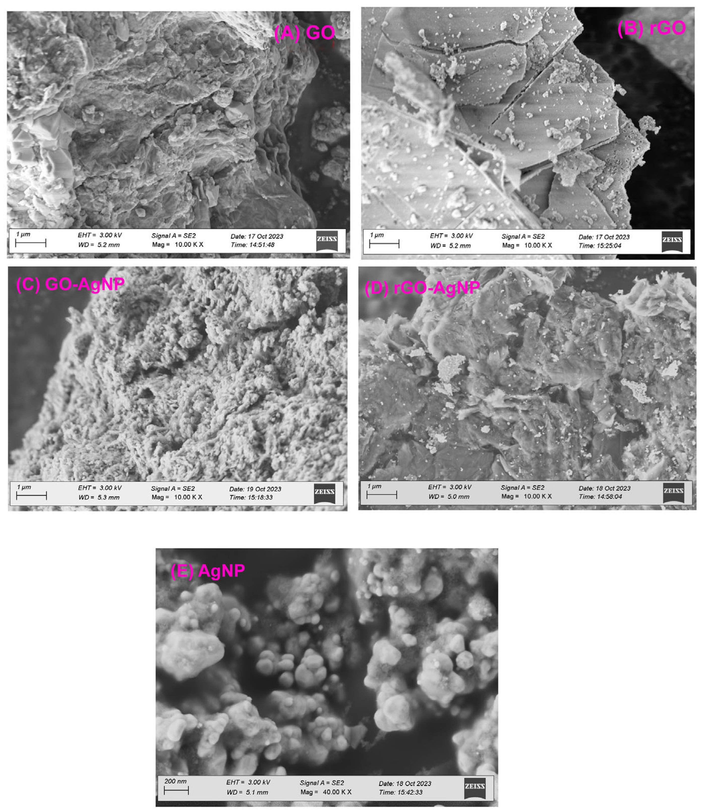 Bioengineering 12 00508 g003