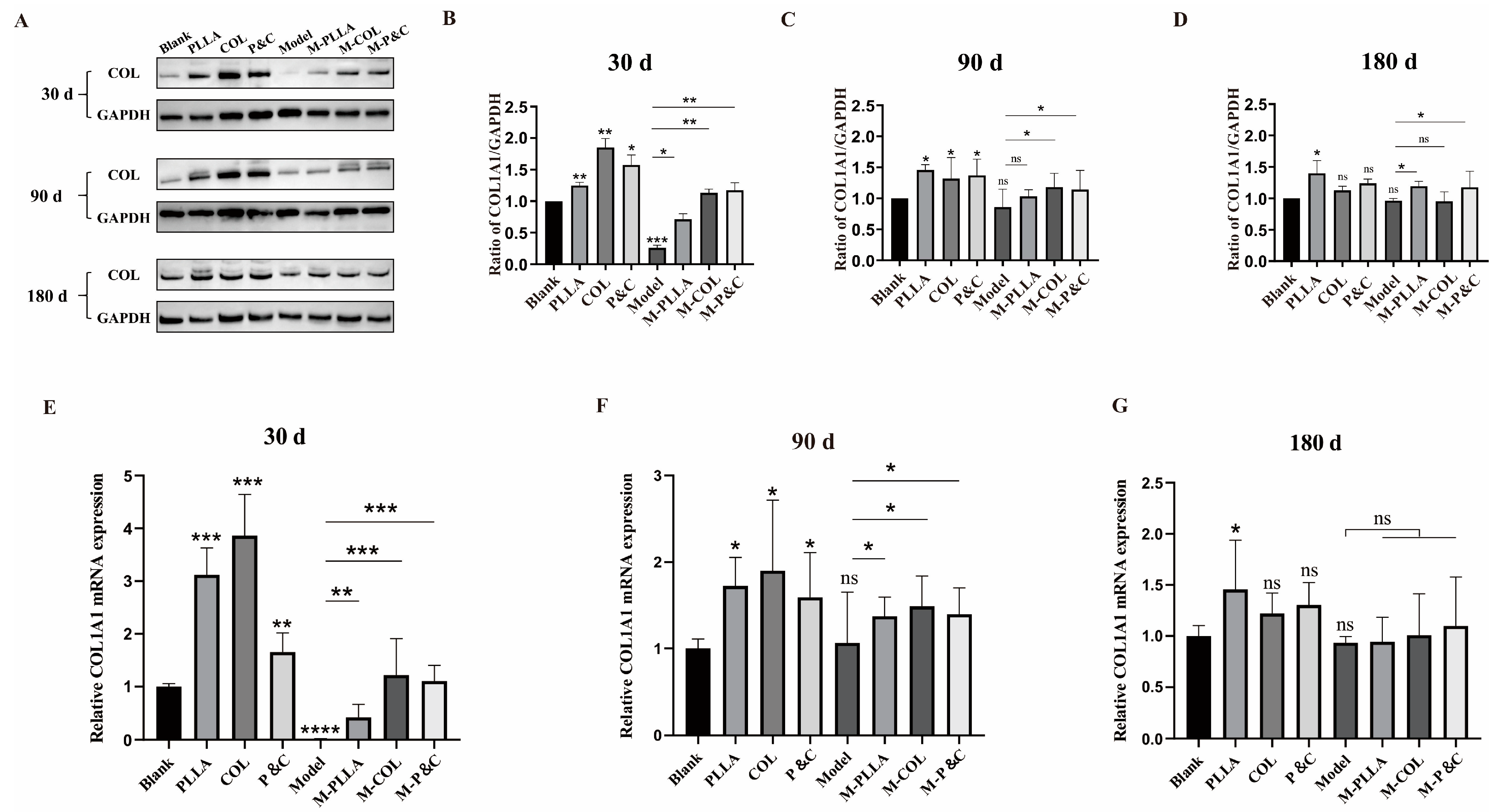 Bioengineering 12 00510 g003