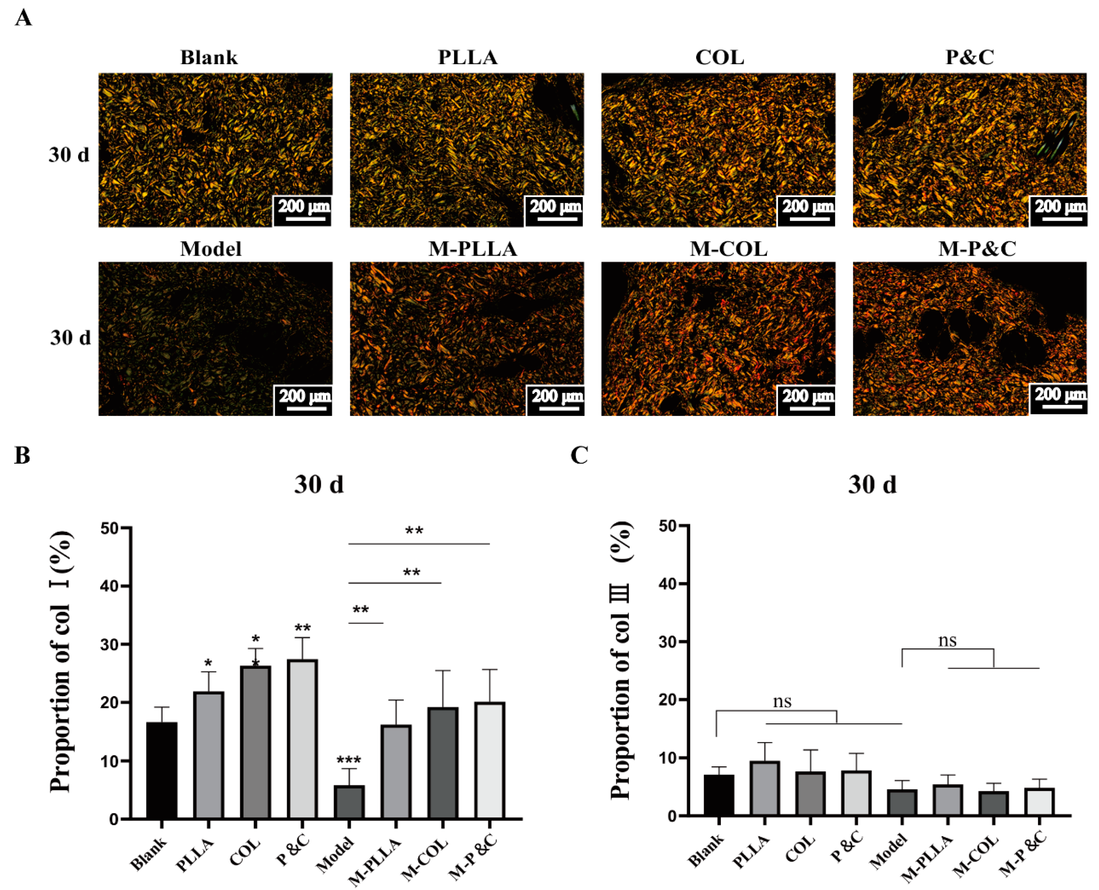 Bioengineering 12 00510 g004