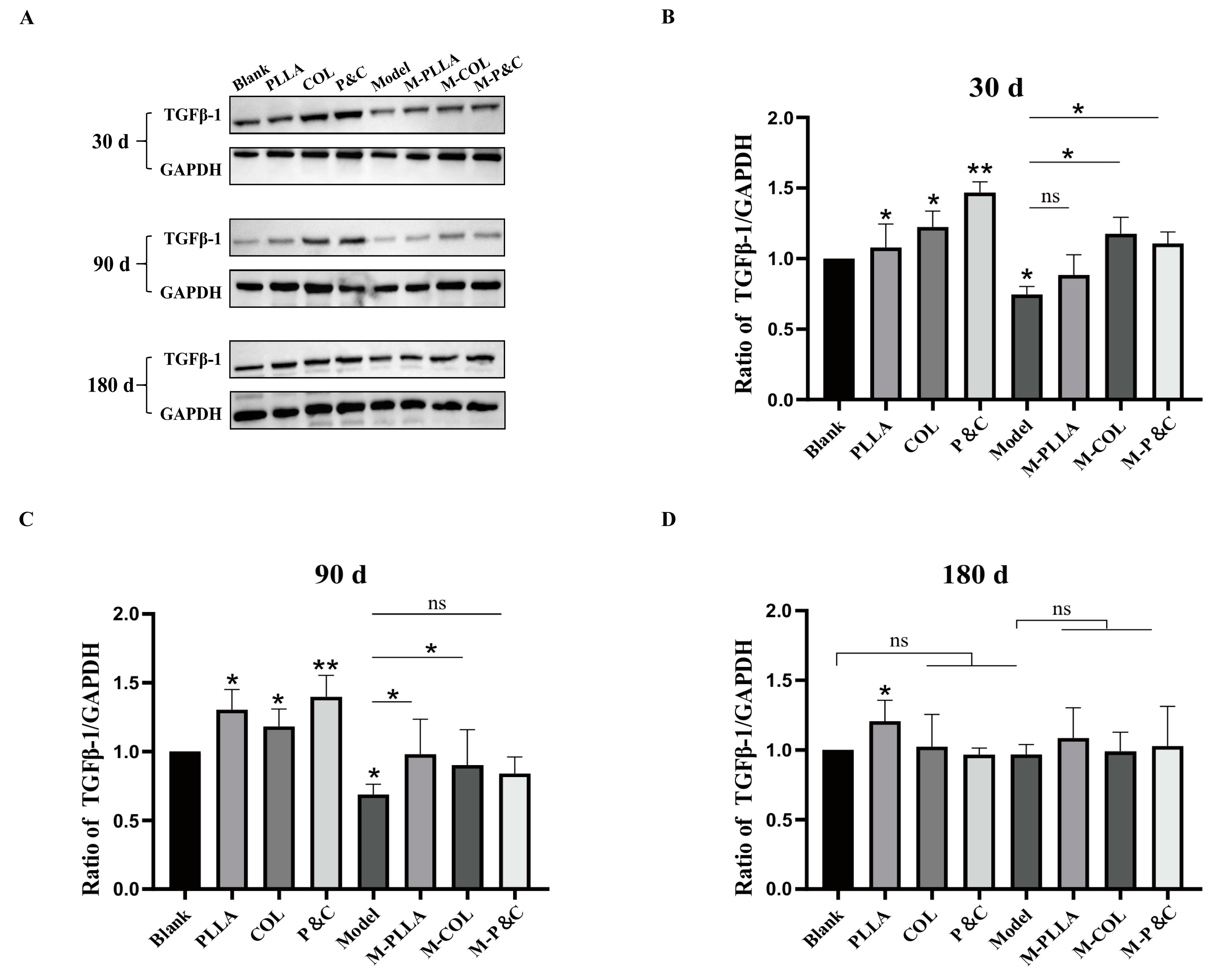 Bioengineering 12 00510 g005