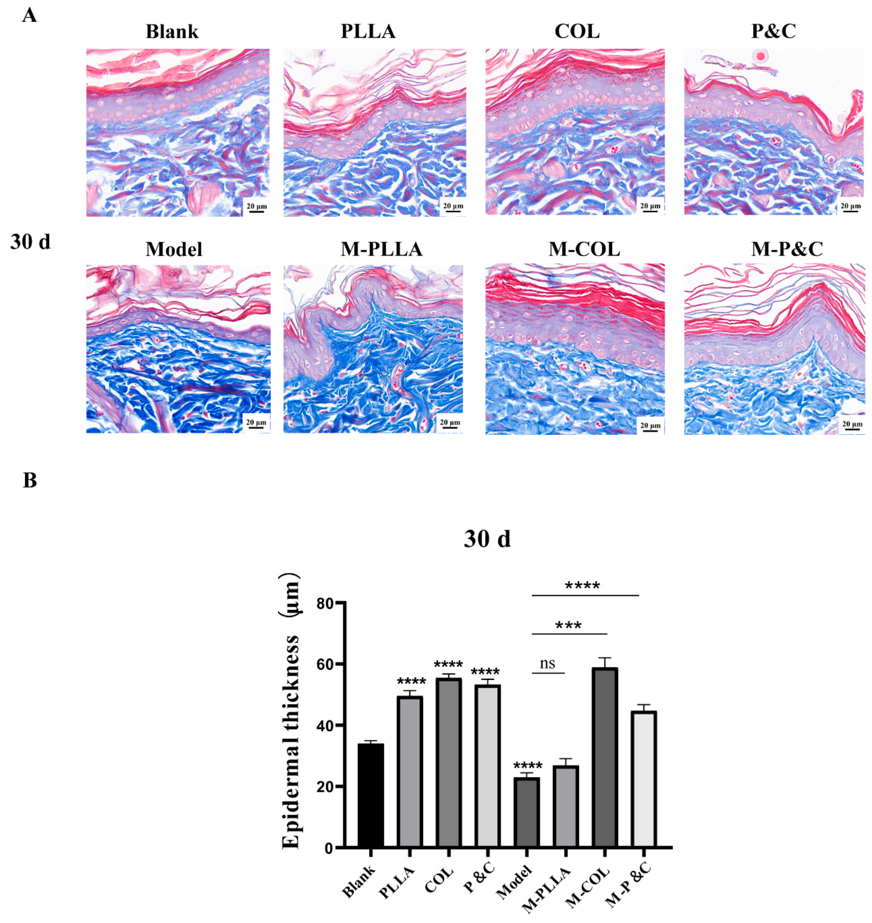 Bioengineering 12 00510 g008
