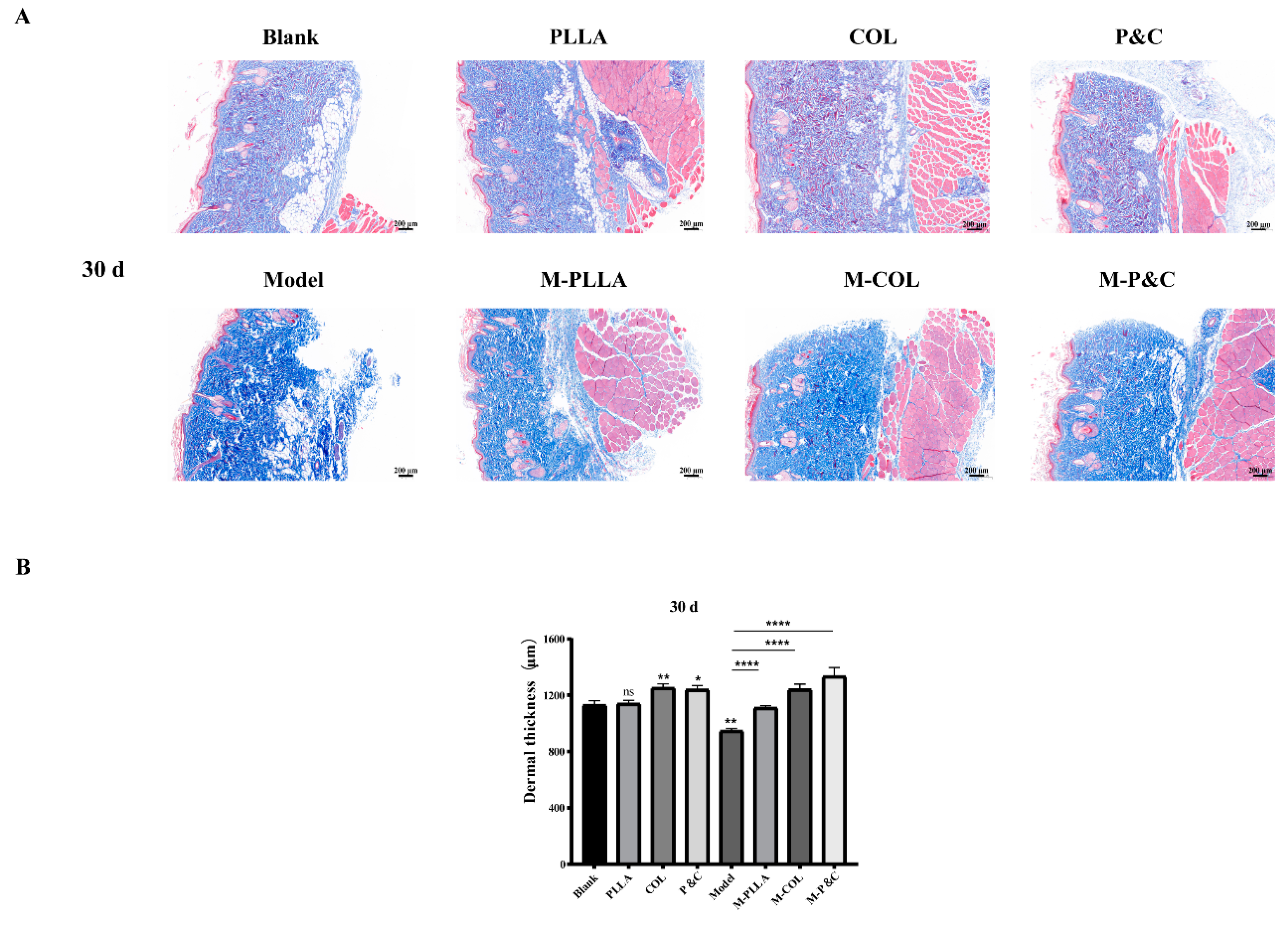 Bioengineering 12 00510 g009