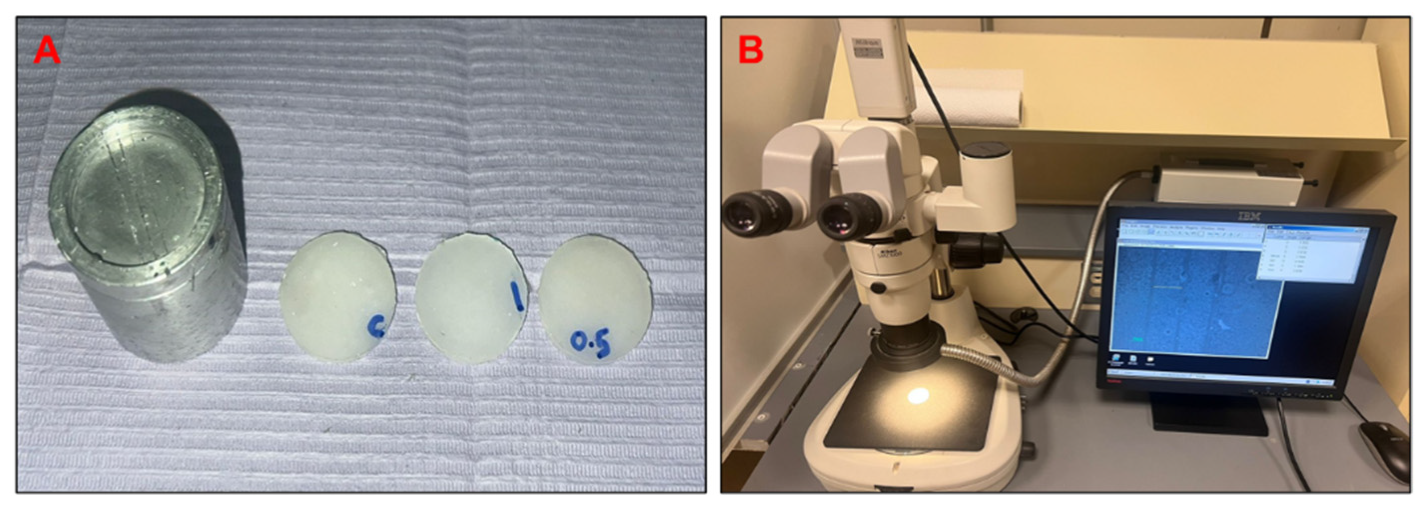 Bioengineering 12 00515 g002