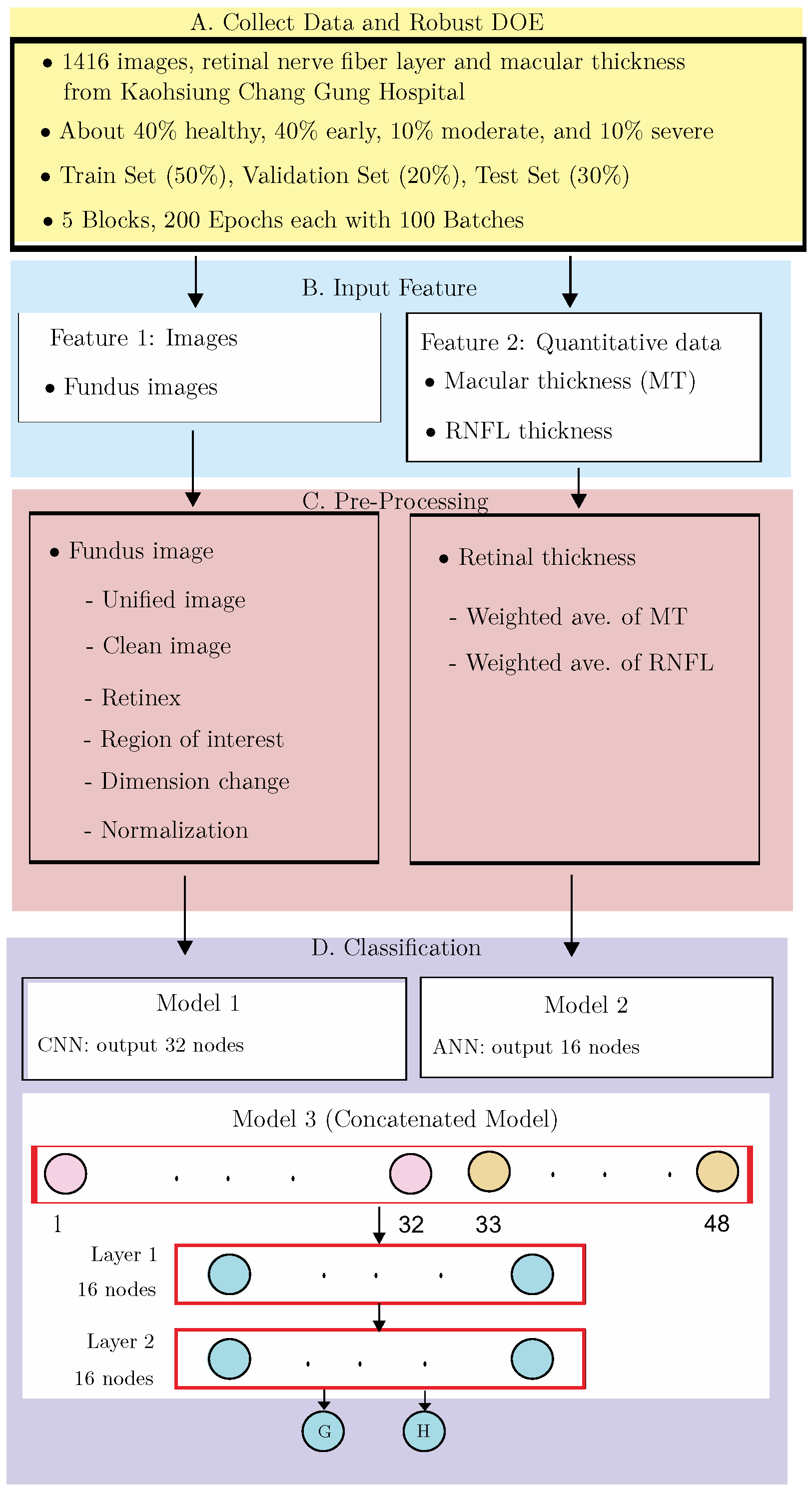 Bioengineering 12 00516 g001