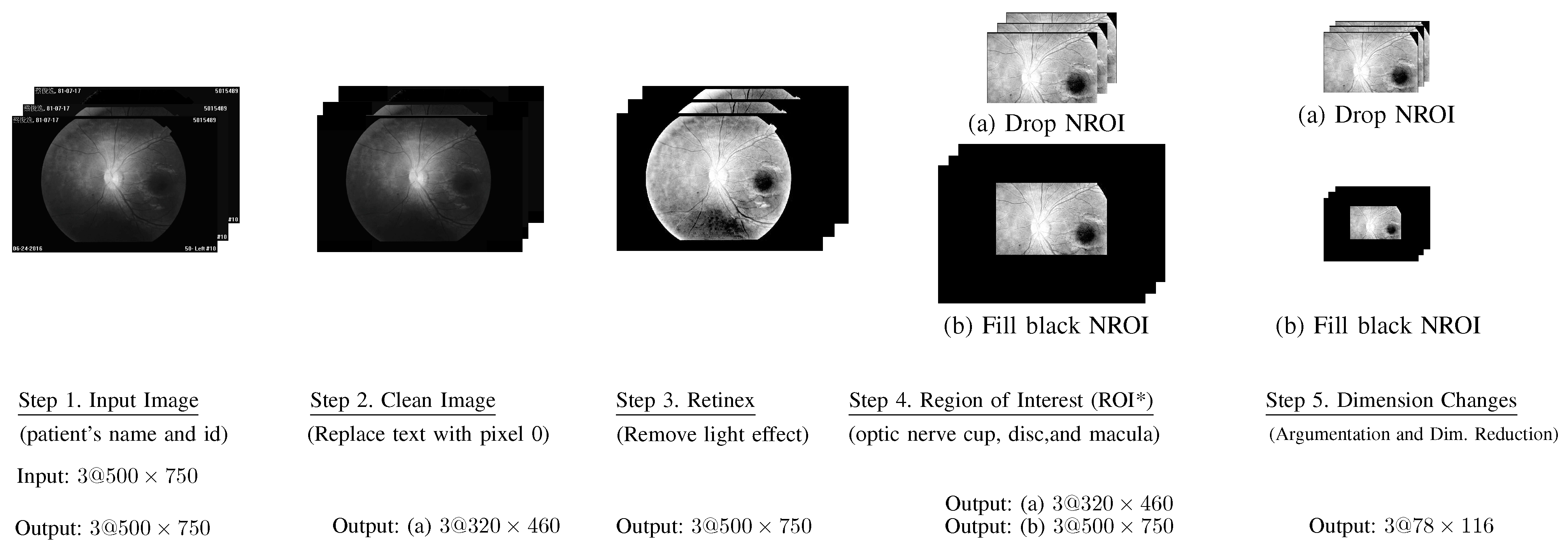 Bioengineering 12 00516 g004