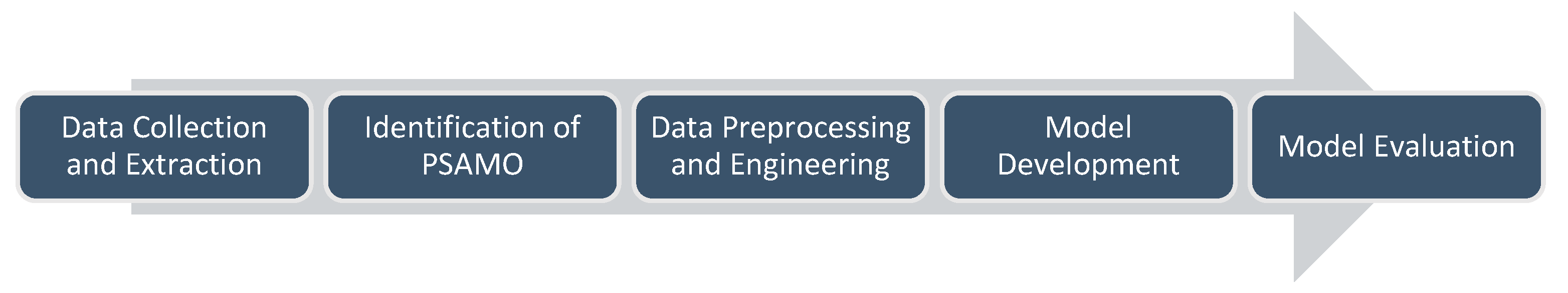 Bioengineering 12 00517 g001