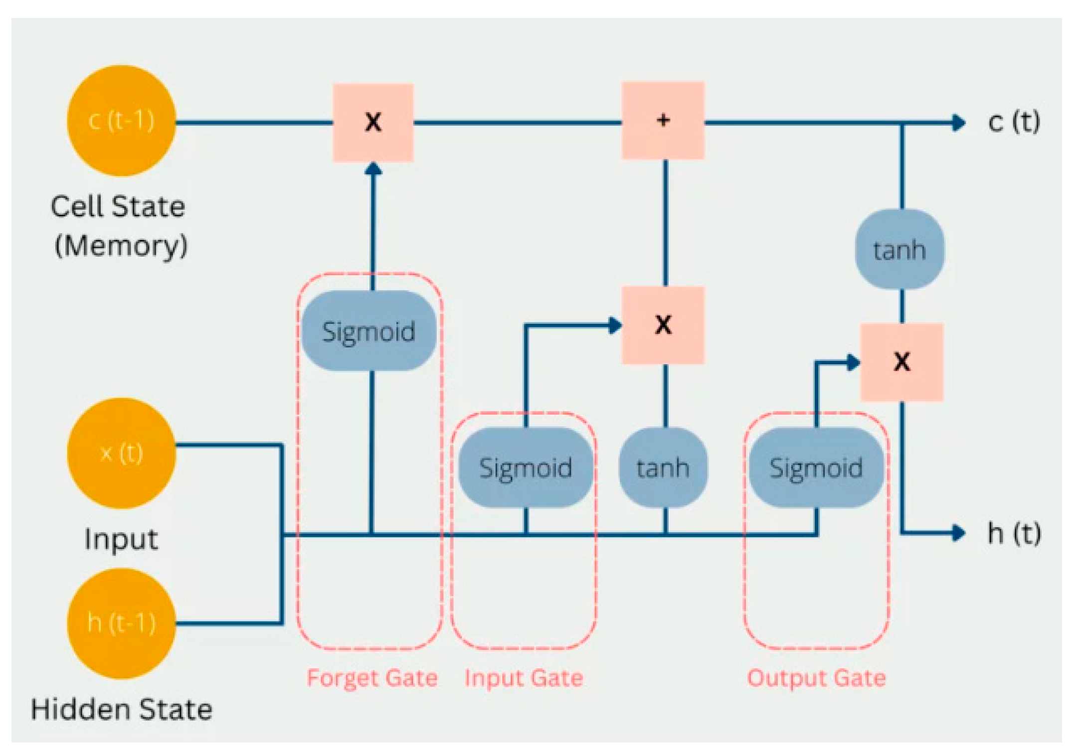 Bioengineering 12 00517 g002