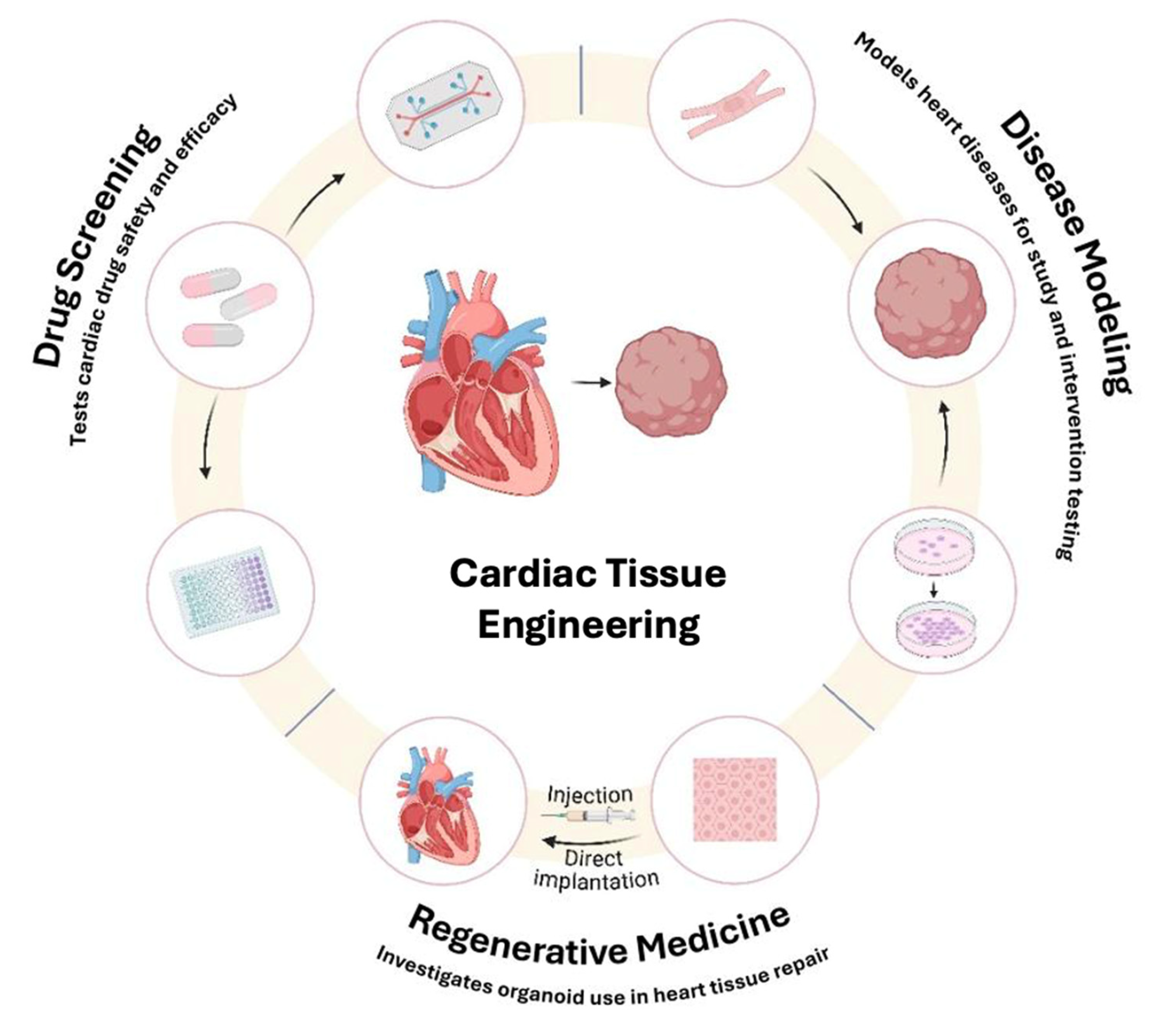 Cardiac Tissue Engineering for Translational Cardiology