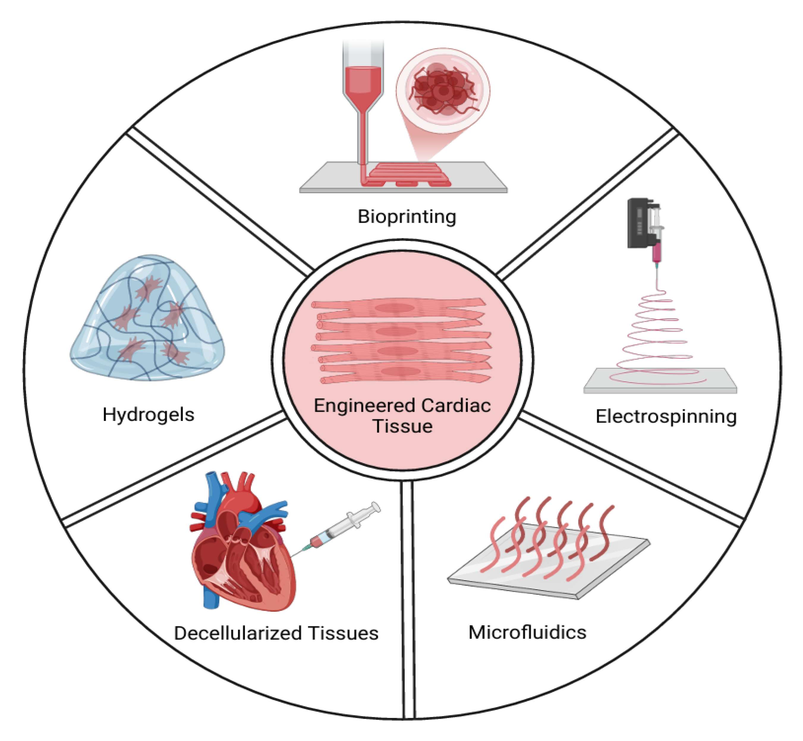 Bioengineering 12 00518 g003