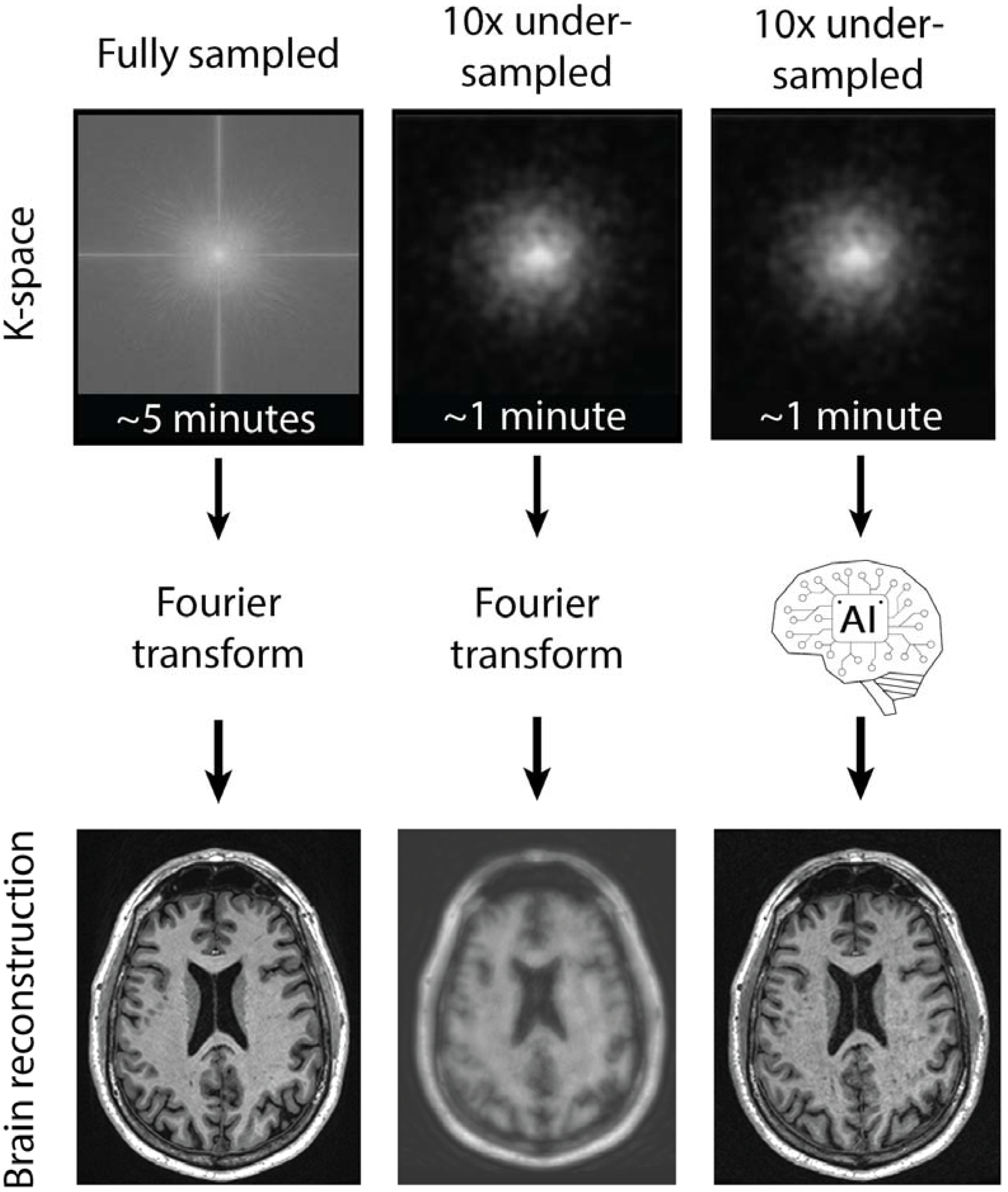 Bioengineering 12 00519 g002 Bioengineering 12 00519 g002