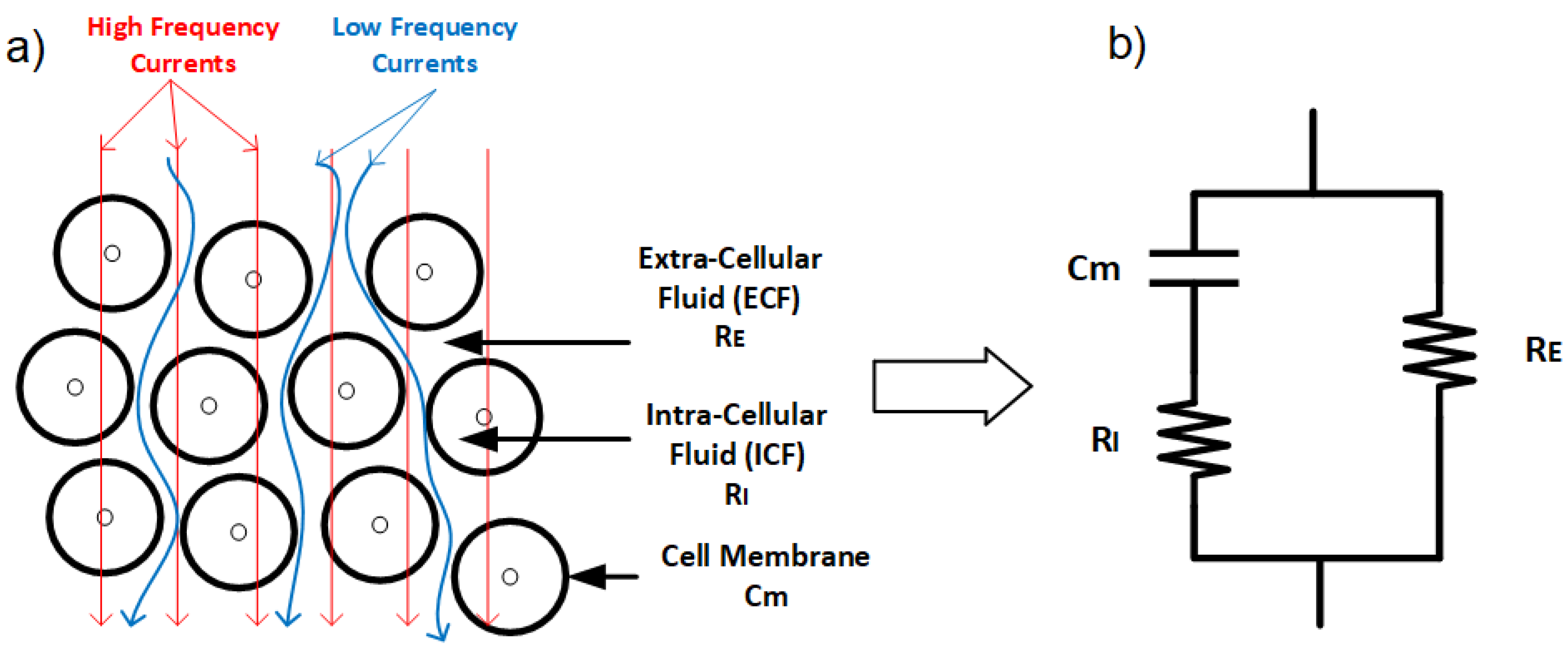 Bioengineering 12 00521 g003