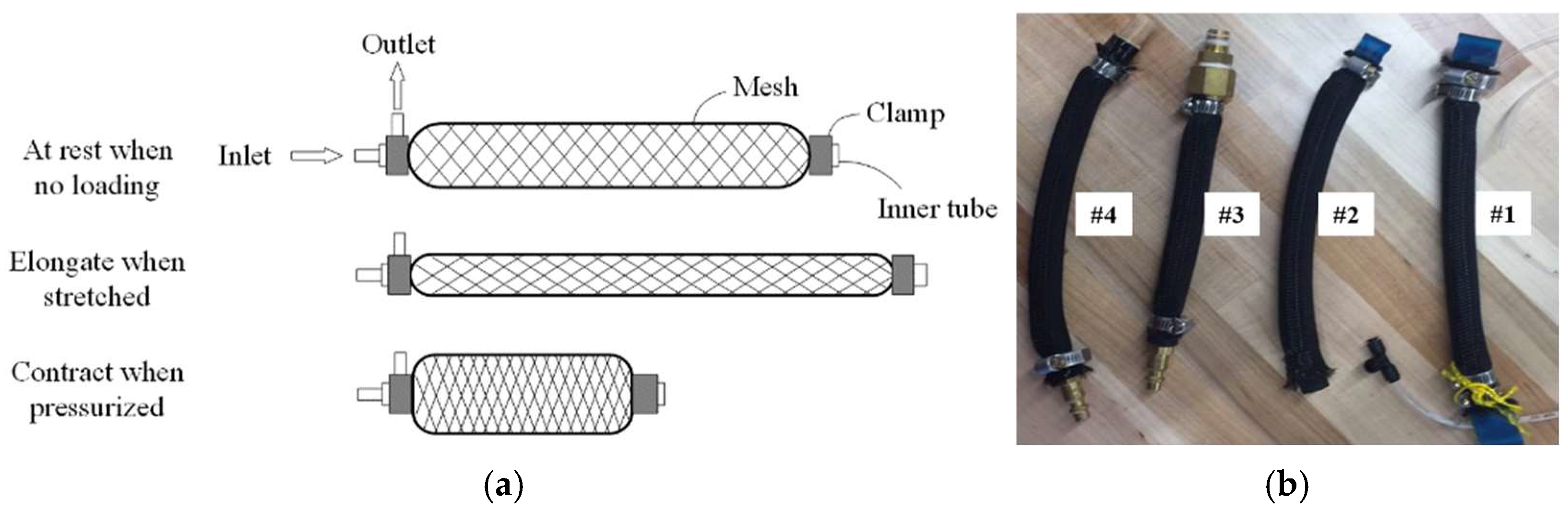 Bioengineering 12 00526 g001