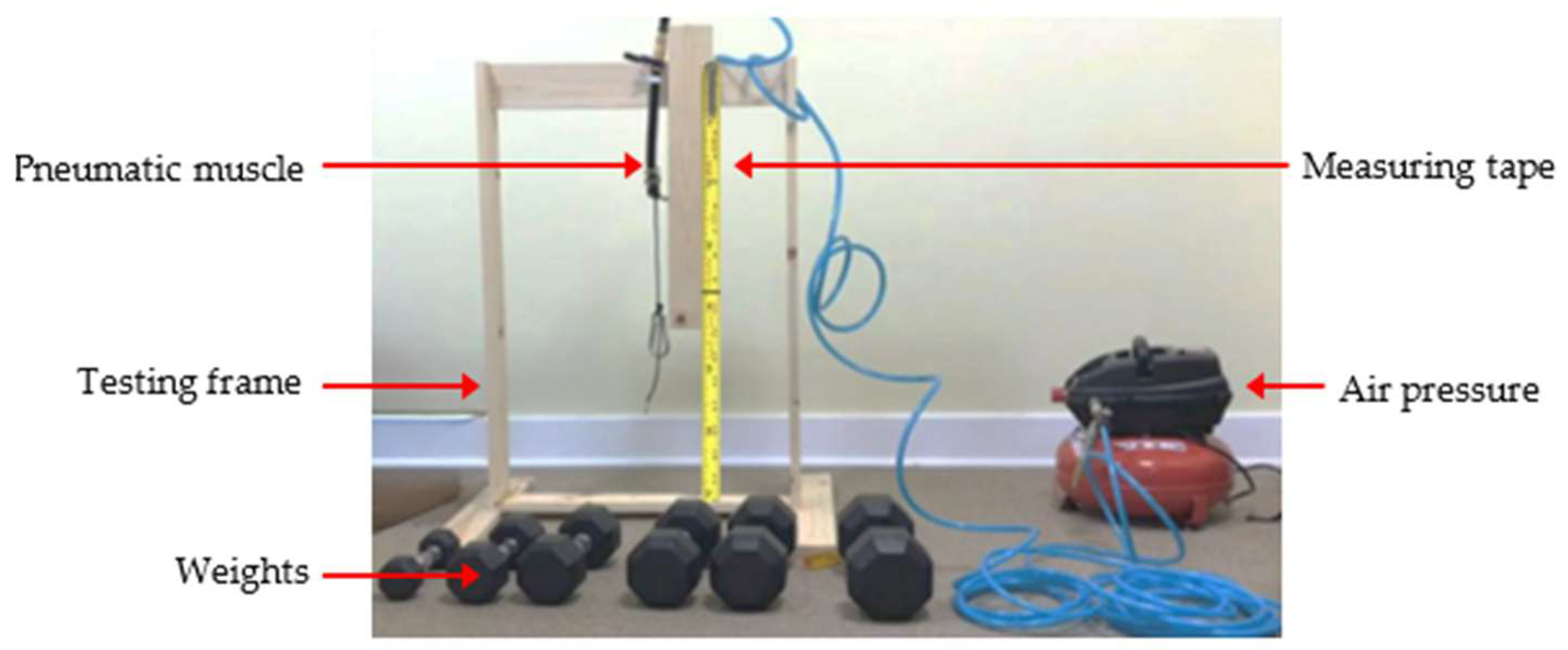 Bioengineering 12 00526 g002